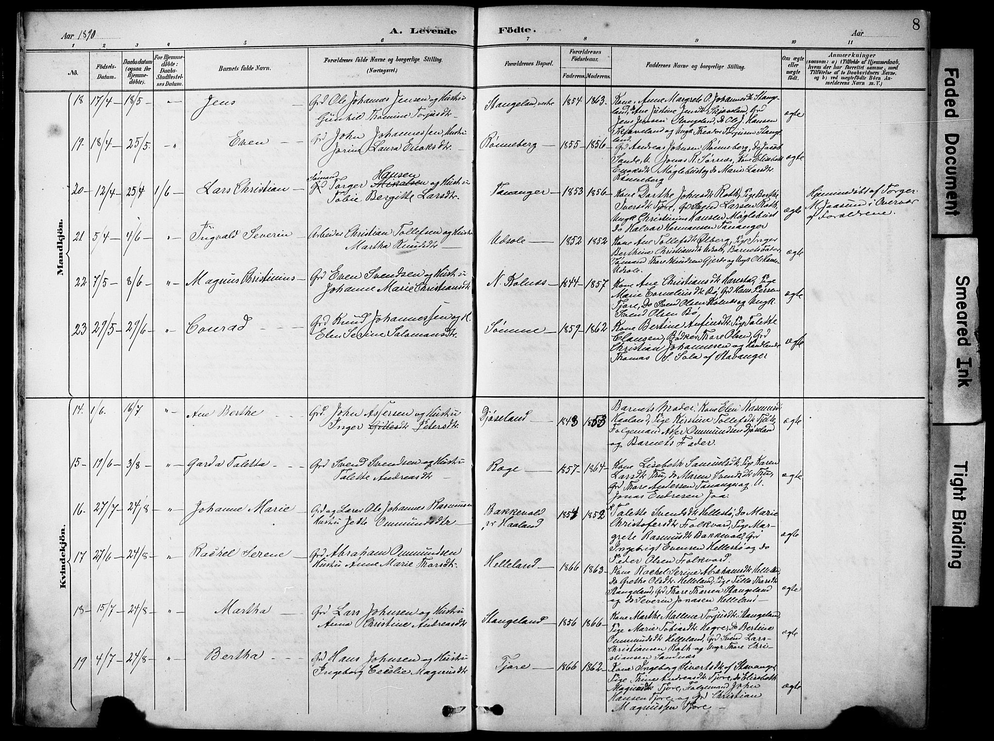 Håland sokneprestkontor, AV/SAST-A-101802/001/30BA/L0012: Parish register (official) no. A 11, 1889-1900, p. 8