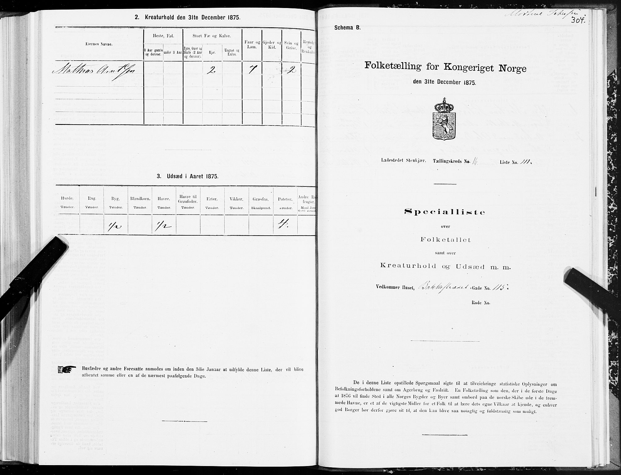 SAT, 1875 census for 1702B Steinkjer/Steinkjer, 1875, p. 304