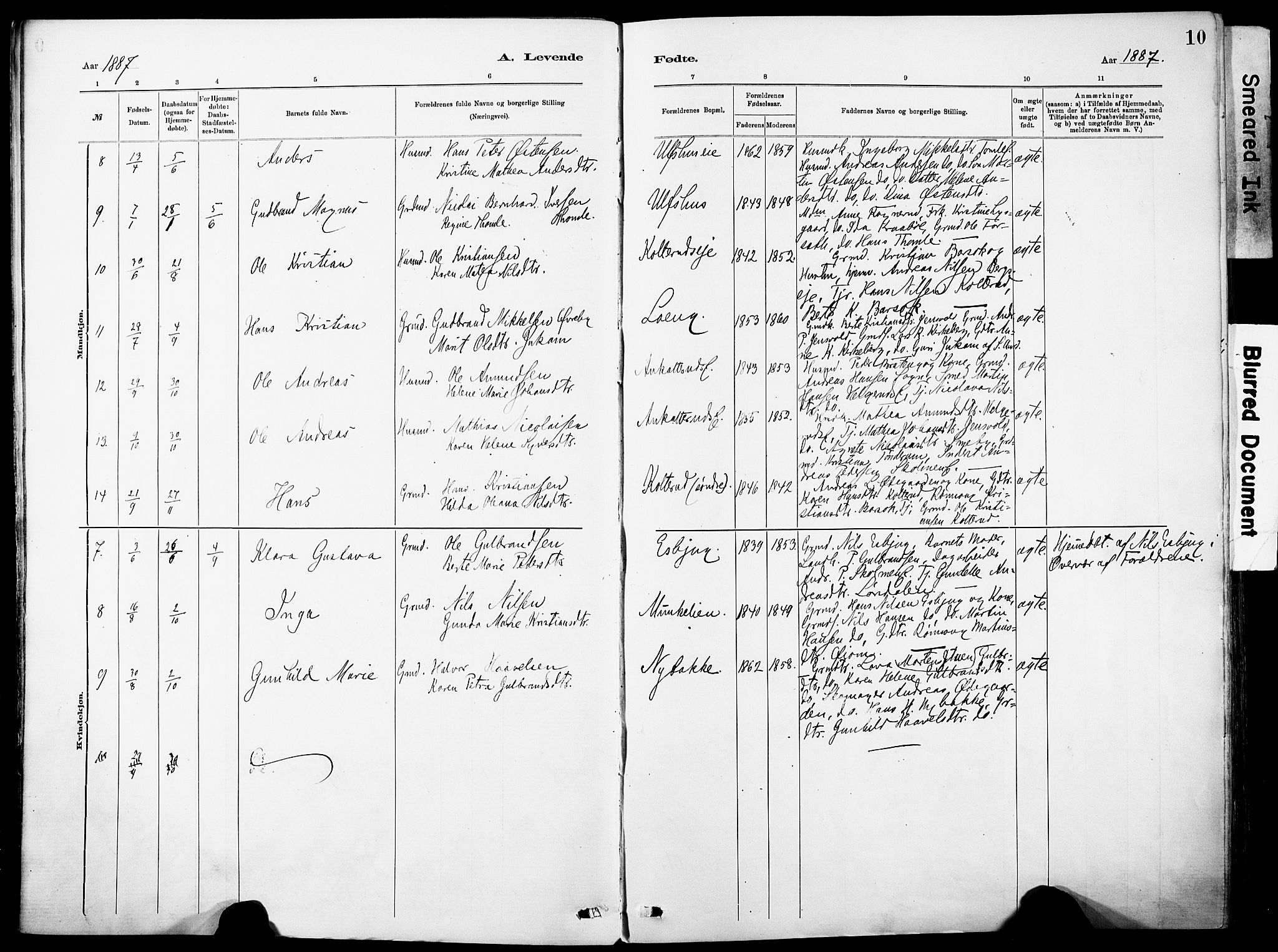 Nordre Land prestekontor, SAH/PREST-124/H/Ha/Haa/L0005: Parish register (official) no. 5, 1882-1903, p. 10