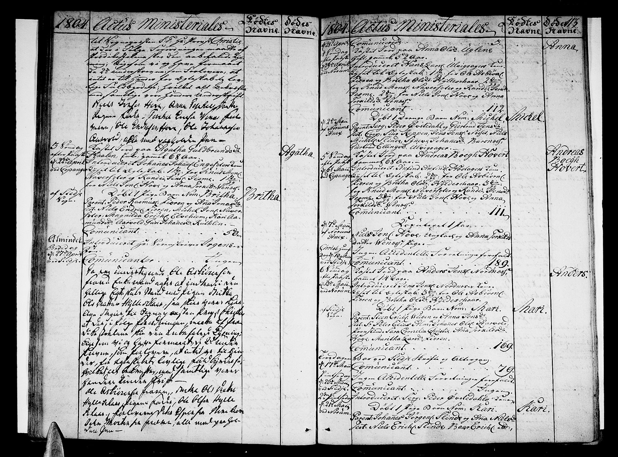 Sogndal sokneprestembete, SAB/A-81301/H/Haa/Haaa/L0008: Parish register (official) no. A 8, 1795-1809, p. 113