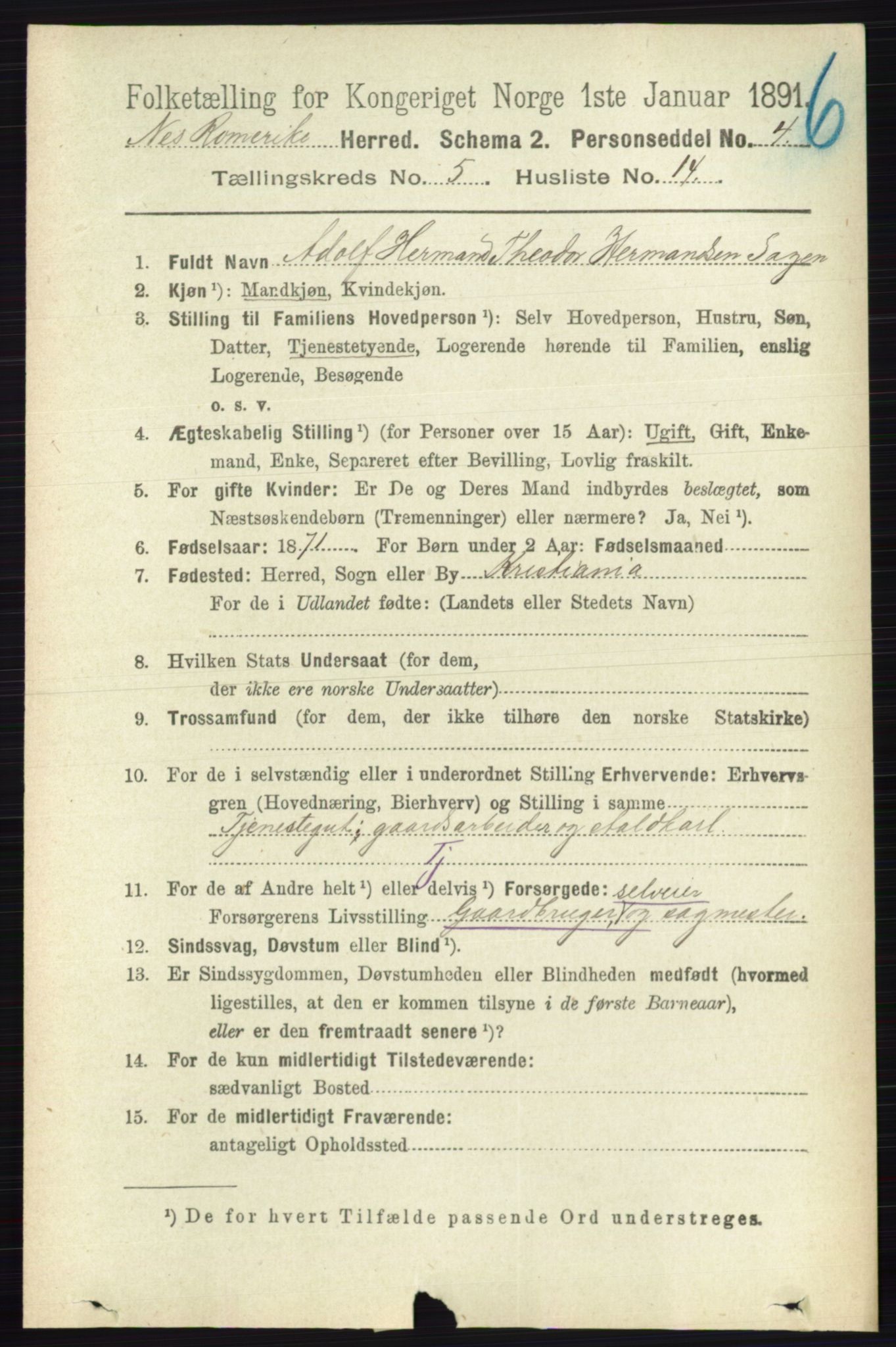 RA, 1891 census for 0236 Nes, 1891, p. 2866