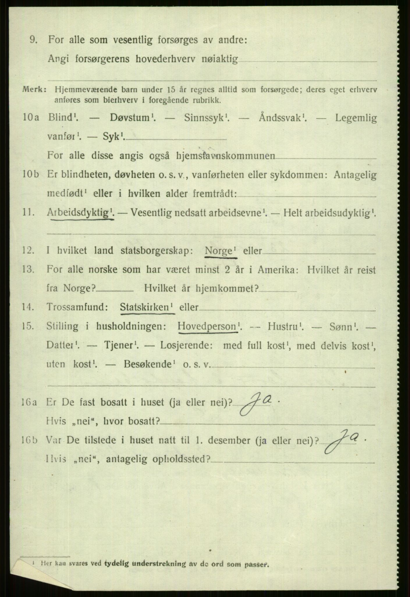 SAB, 1920 census for Voss, 1920, p. 19558