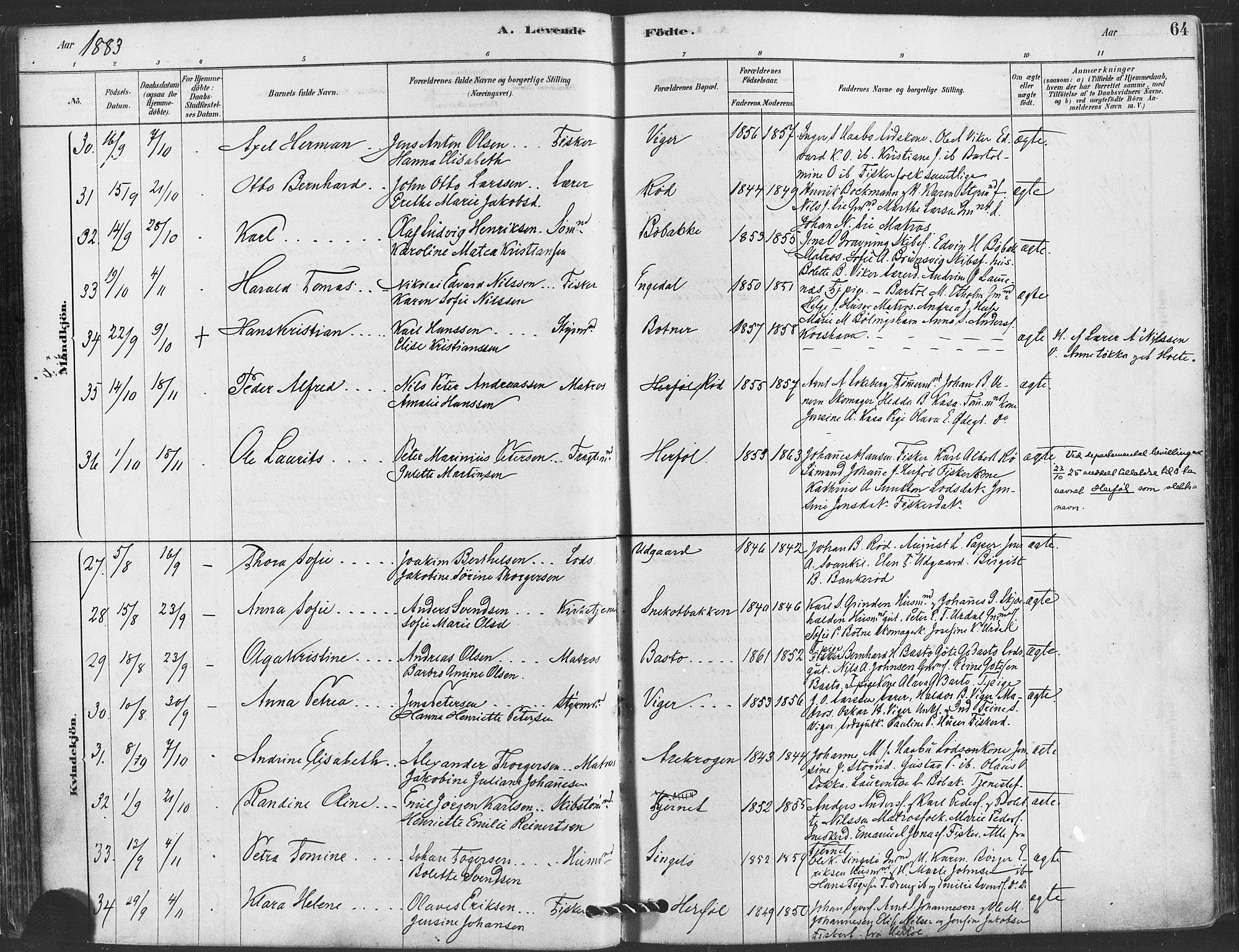 Hvaler prestekontor Kirkebøker, AV/SAO-A-2001/F/Fa/L0008: Parish register (official) no. I 8, 1878-1895, p. 64