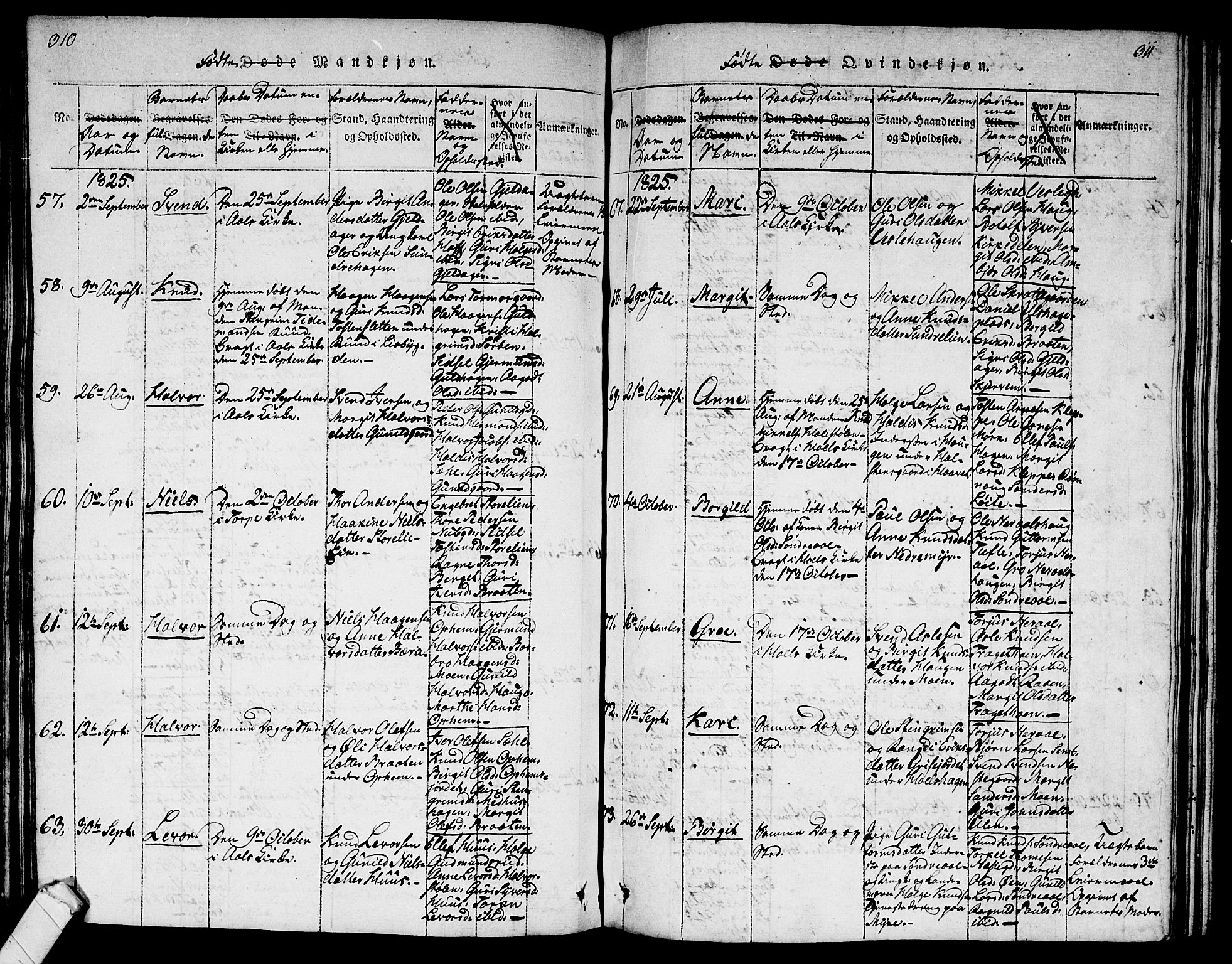 Ål kirkebøker, AV/SAKO-A-249/G/Ga/L0001: Parish register (copy) no. 1, 1815-1829, p. 310-311