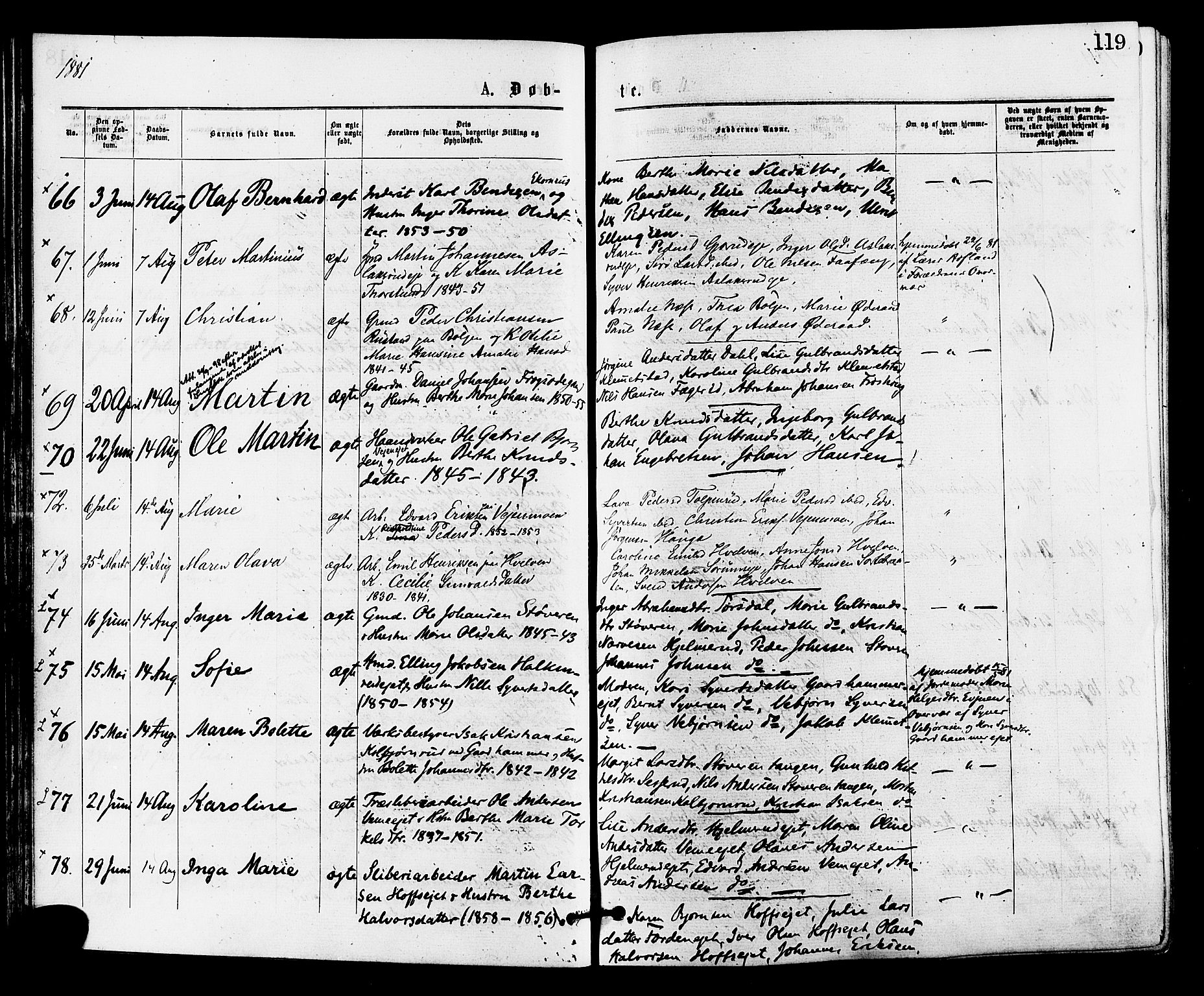 Norderhov kirkebøker, AV/SAKO-A-237/F/Fa/L0015: Parish register (official) no. 15, 1875-1884, p. 119