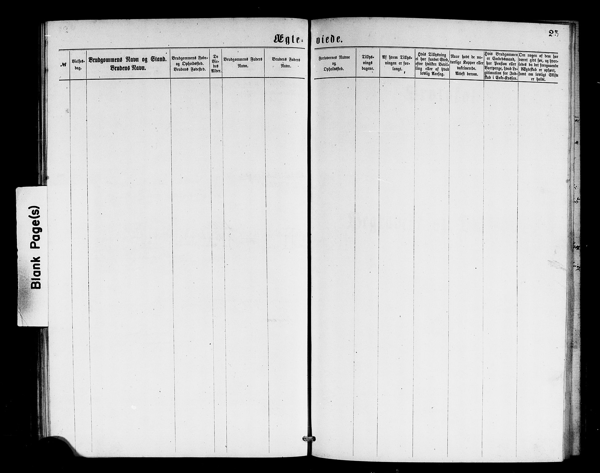 Stryn Sokneprestembete, SAB/A-82501: Parish register (copy) no. B 2, 1877-1881, p. 25