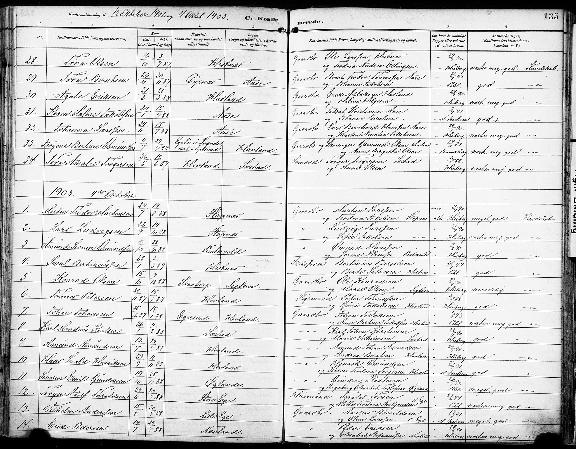 Eigersund sokneprestkontor, AV/SAST-A-101807/S08/L0018: Parish register (official) no. A 17, 1892-1905, p. 135