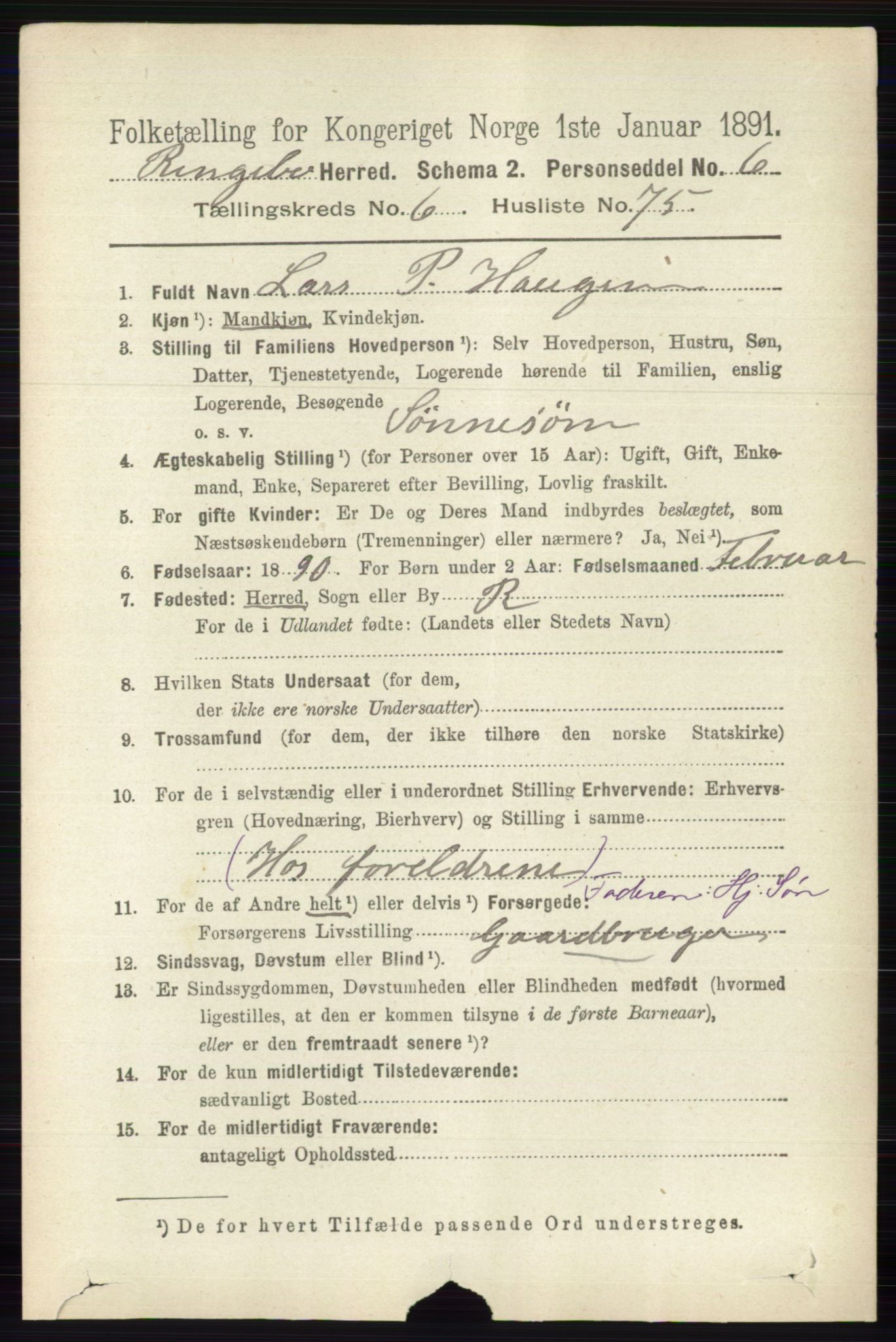 RA, 1891 census for 0520 Ringebu, 1891, p. 2916