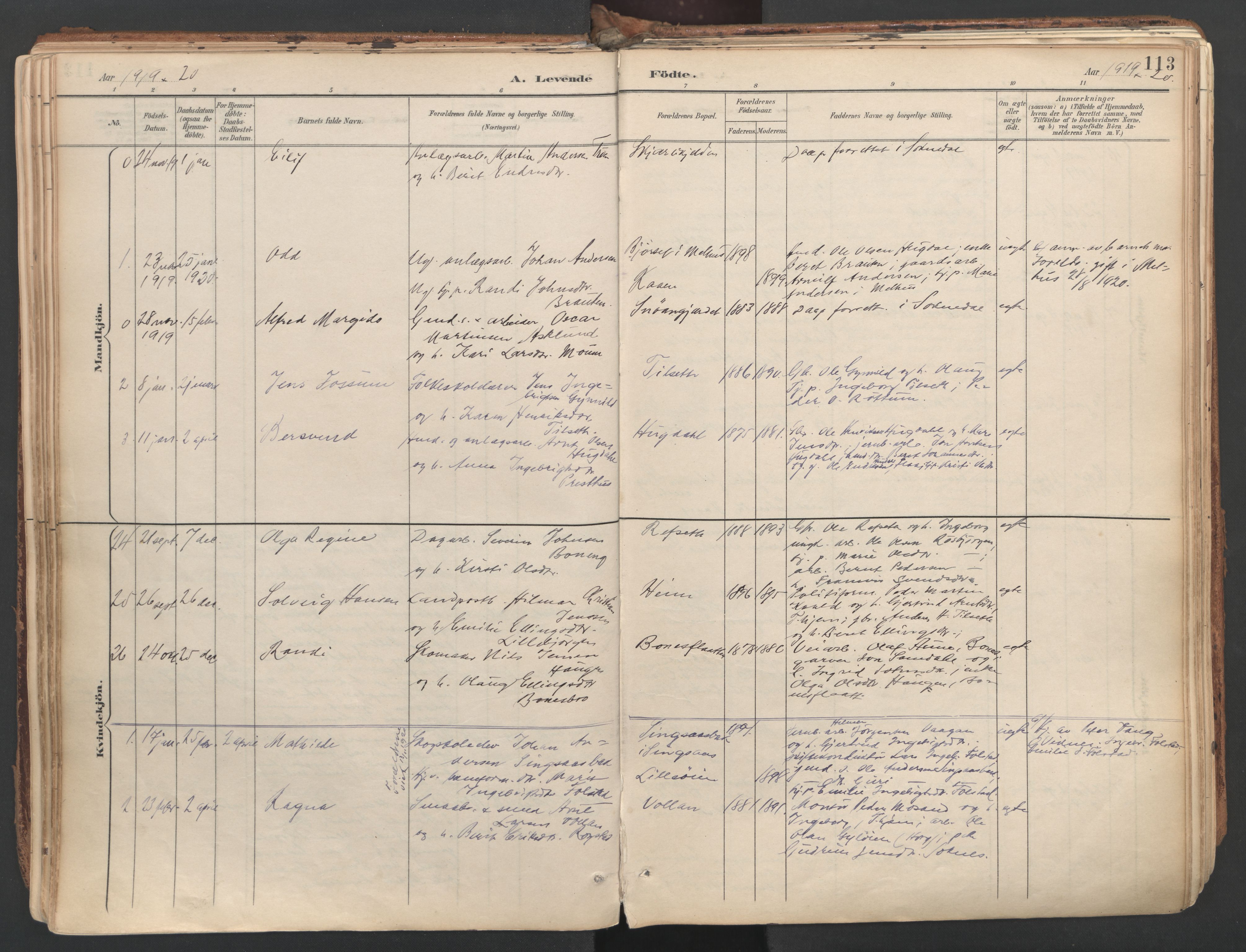 Ministerialprotokoller, klokkerbøker og fødselsregistre - Sør-Trøndelag, SAT/A-1456/687/L1004: Parish register (official) no. 687A10, 1891-1923, p. 113