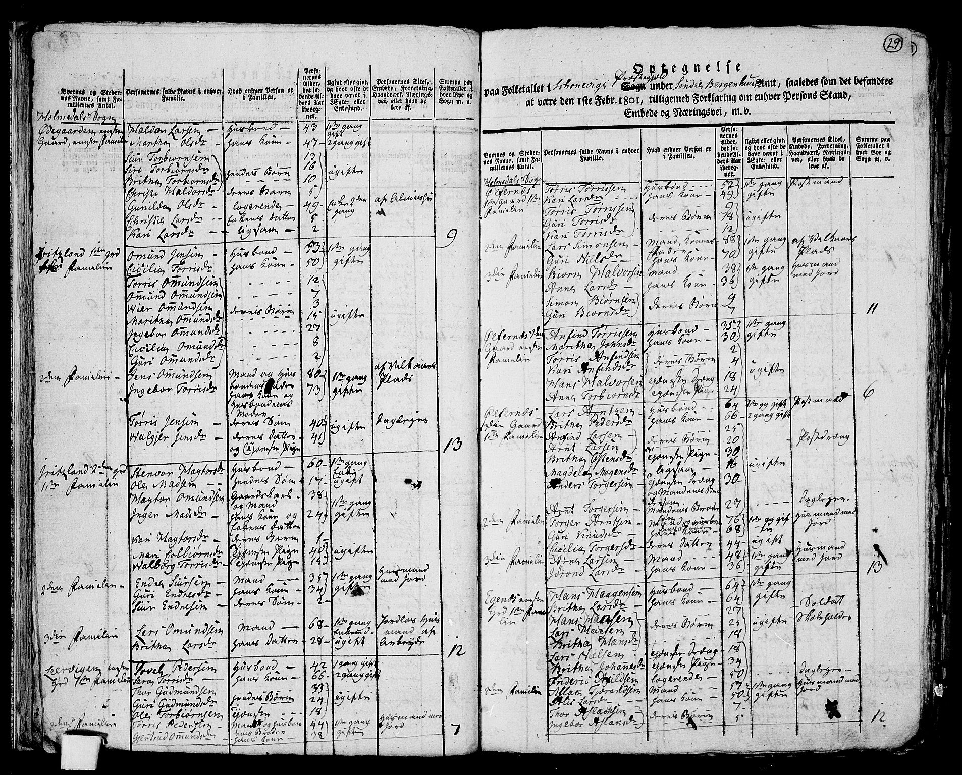 RA, 1801 census for 1212P Skånevik, 1801, p. 28b-29a