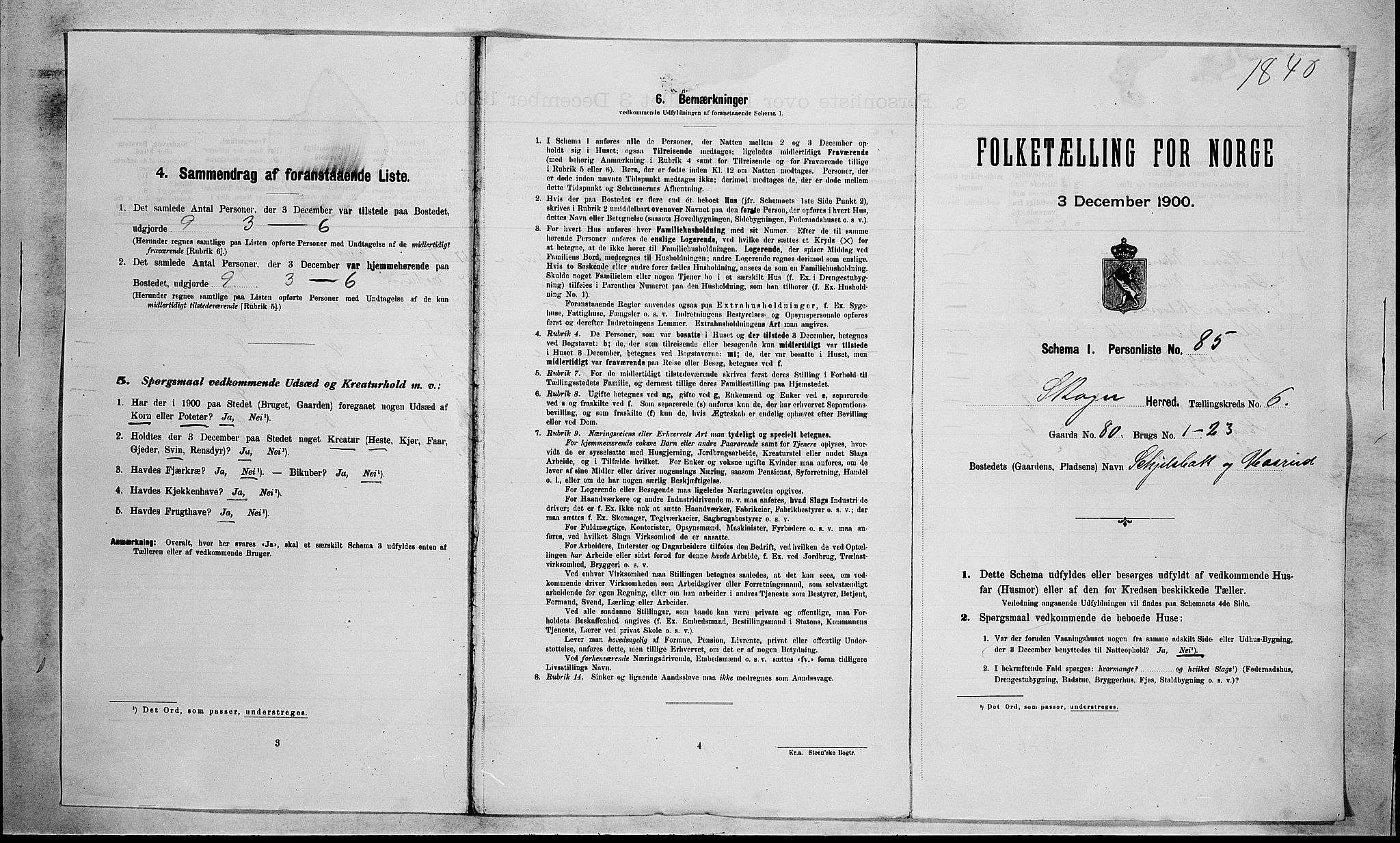 RA, 1900 census for Skoger, 1900, p. 1153