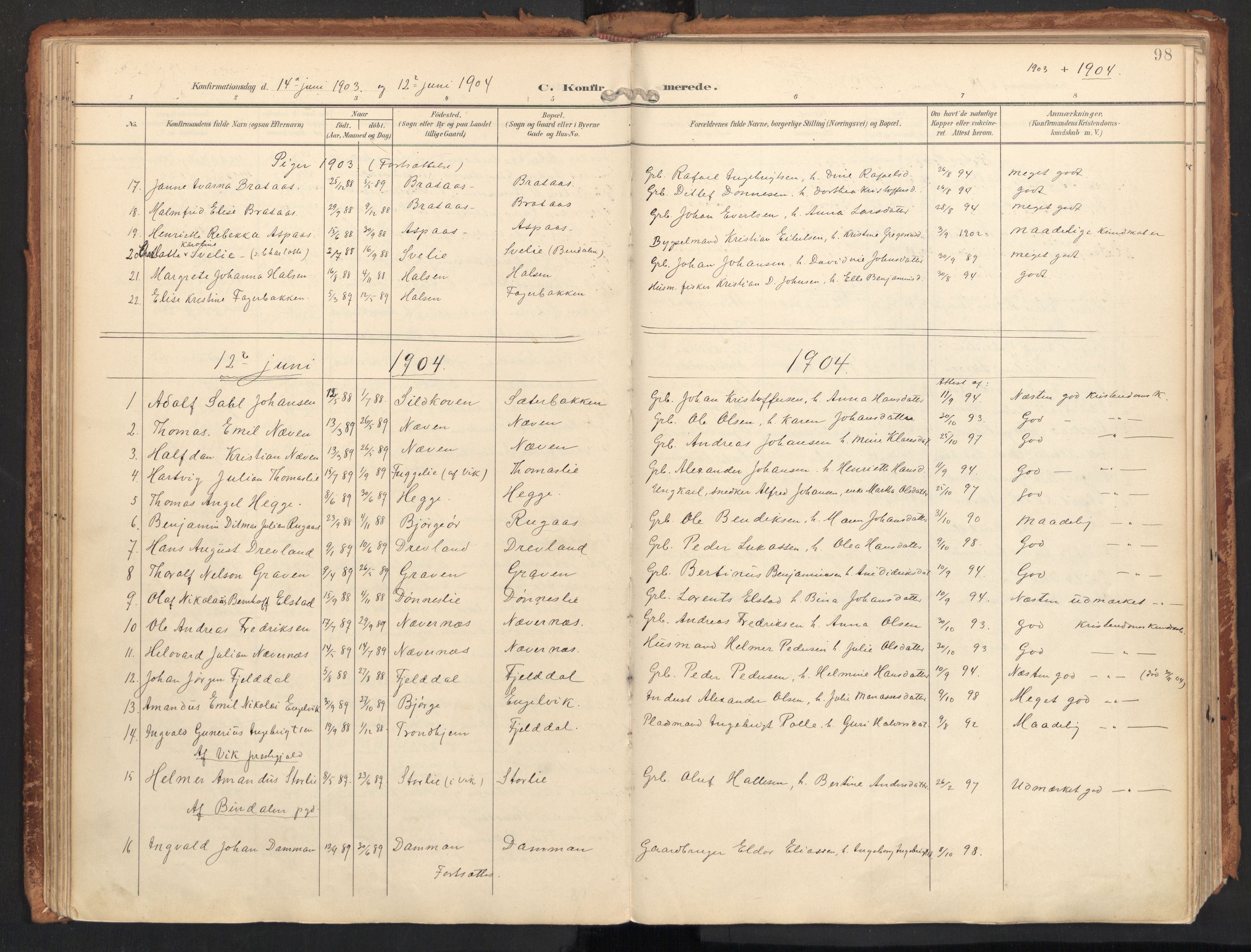 Ministerialprotokoller, klokkerbøker og fødselsregistre - Nordland, SAT/A-1459/814/L0227: Parish register (official) no. 814A08, 1899-1920, p. 98