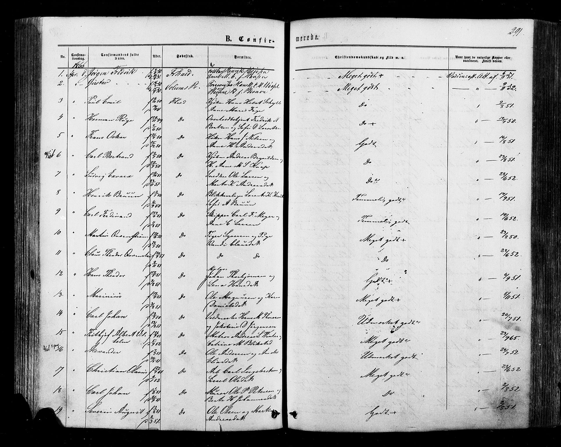 Halden prestekontor Kirkebøker, SAO/A-10909/F/Fa/L0009: Parish register (official) no. I 9, 1866-1877, p. 291