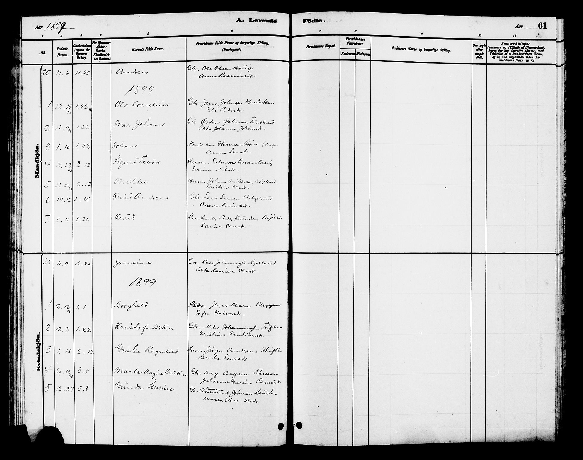 Hjelmeland sokneprestkontor, AV/SAST-A-101843/01/V/L0007: Parish register (copy) no. B 7, 1880-1909, p. 61