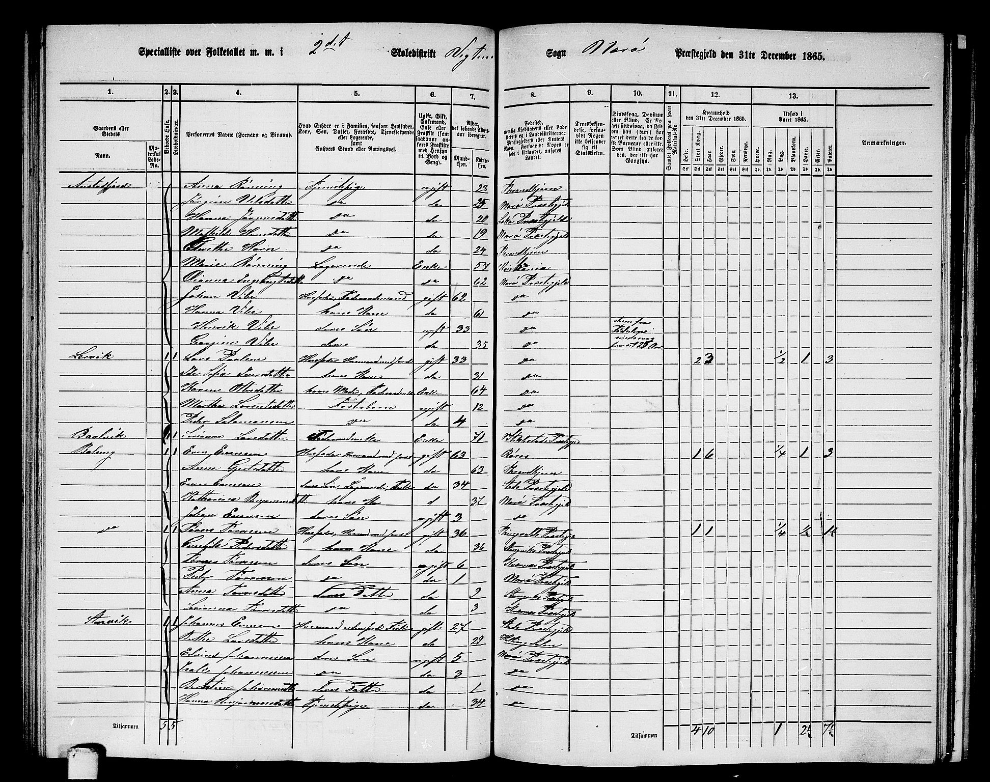 RA, 1865 census for Nærøy, 1865, p. 120