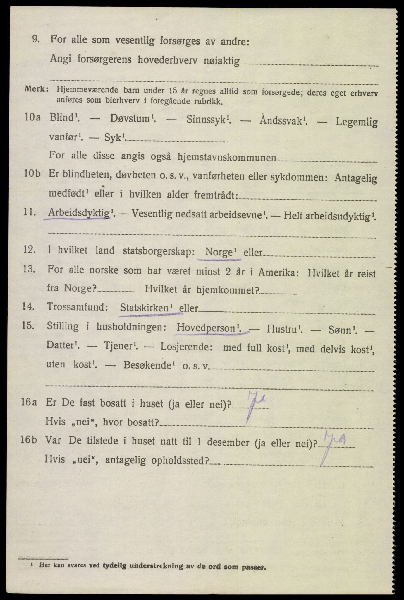 SAK, 1920 census for Hornnes, 1920, p. 1118
