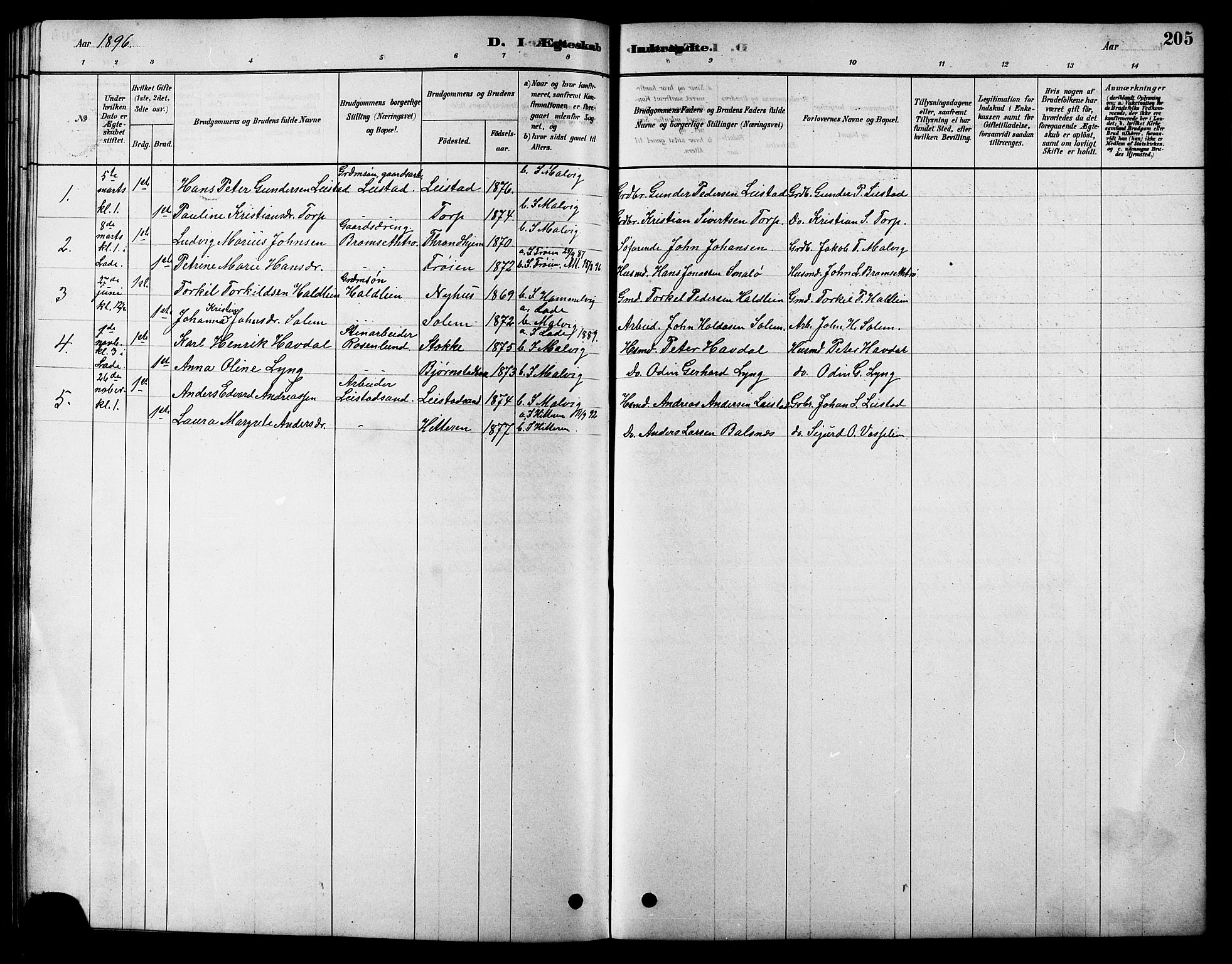 Ministerialprotokoller, klokkerbøker og fødselsregistre - Sør-Trøndelag, SAT/A-1456/616/L0423: Parish register (copy) no. 616C06, 1878-1903, p. 205