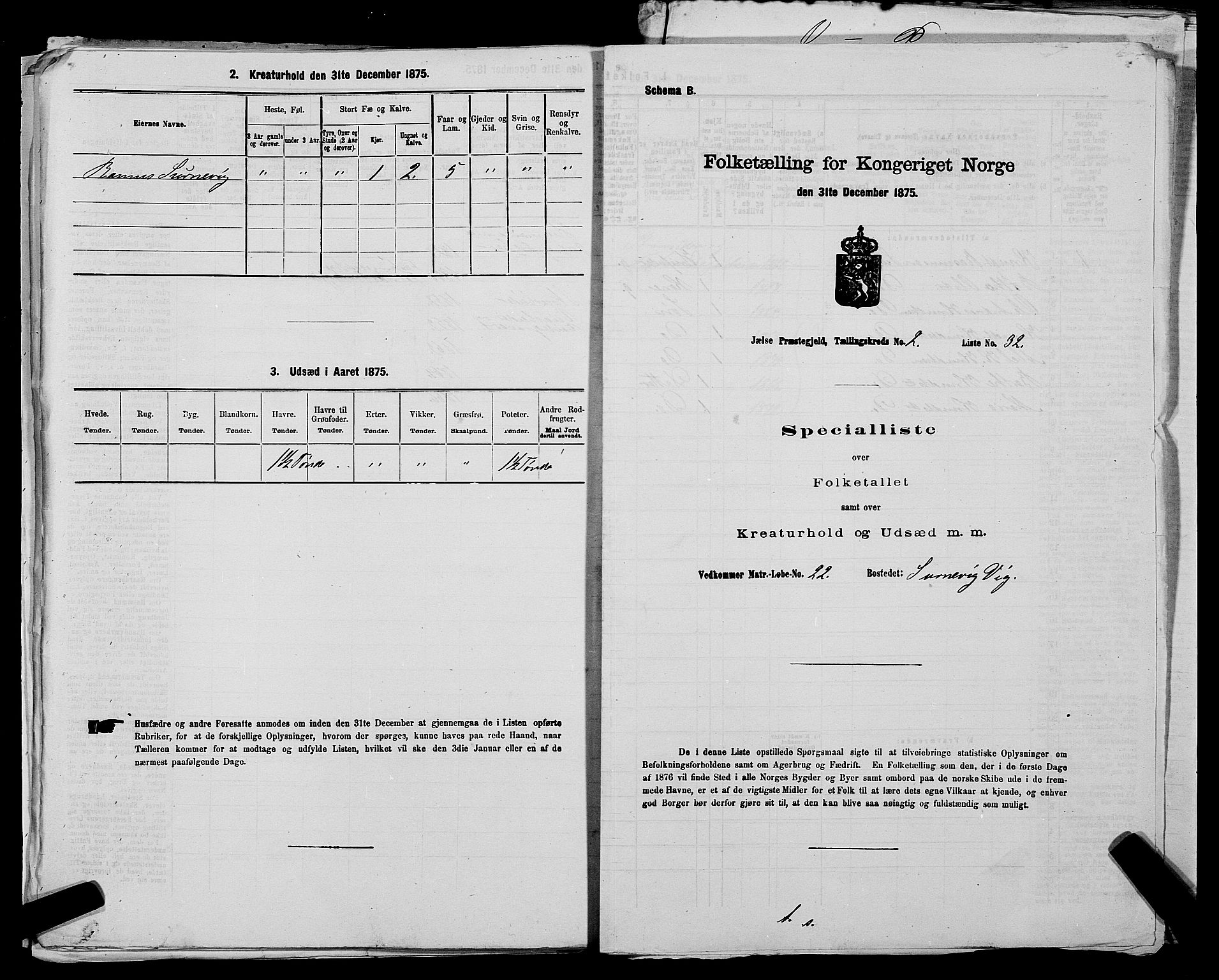 SAST, 1875 census for 1138P Jelsa, 1875, p. 181