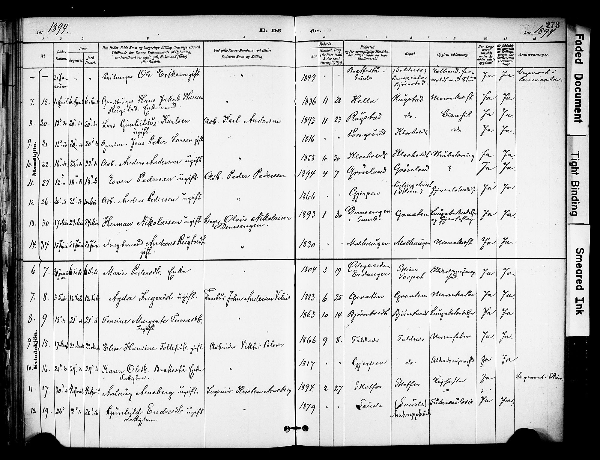 Solum kirkebøker, AV/SAKO-A-306/F/Fa/L0010: Parish register (official) no. I 10, 1888-1898, p. 273