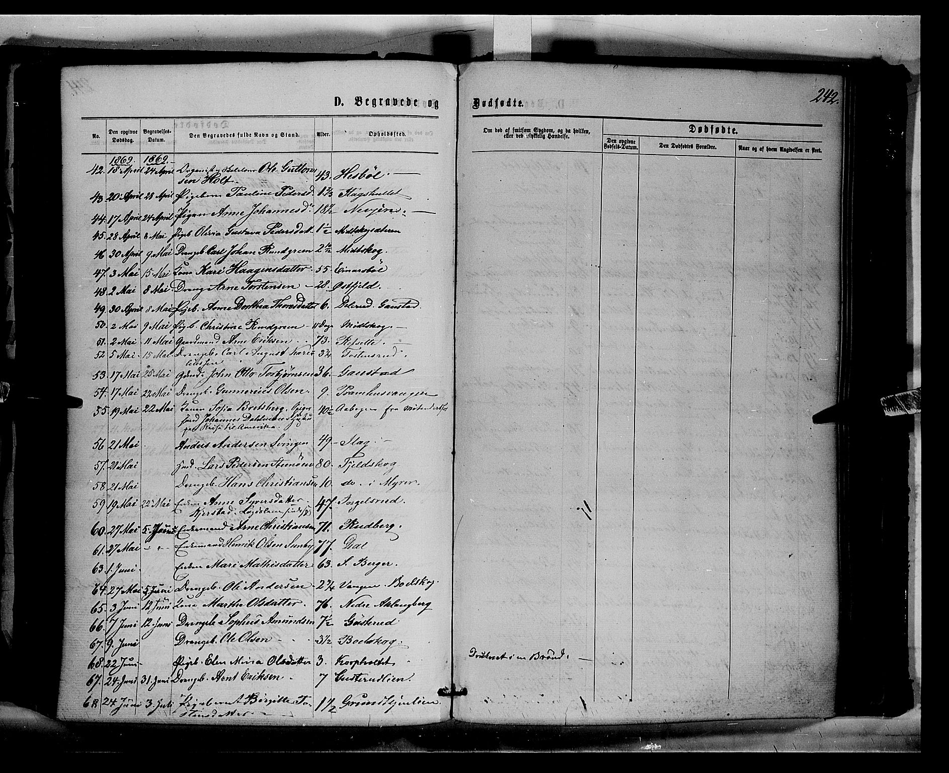 Eidskog prestekontor, AV/SAH-PREST-026/H/Ha/Haa/L0002: Parish register (official) no. 2, 1867-1878, p. 242