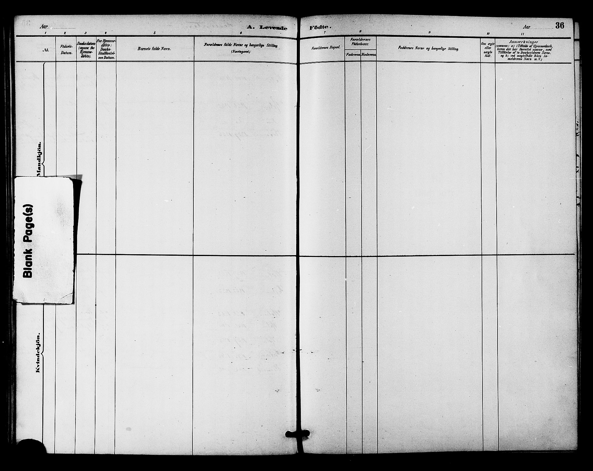 Ministerialprotokoller, klokkerbøker og fødselsregistre - Nordland, AV/SAT-A-1459/894/L1355: Parish register (official) no. 894A01, 1885-1896, p. 36