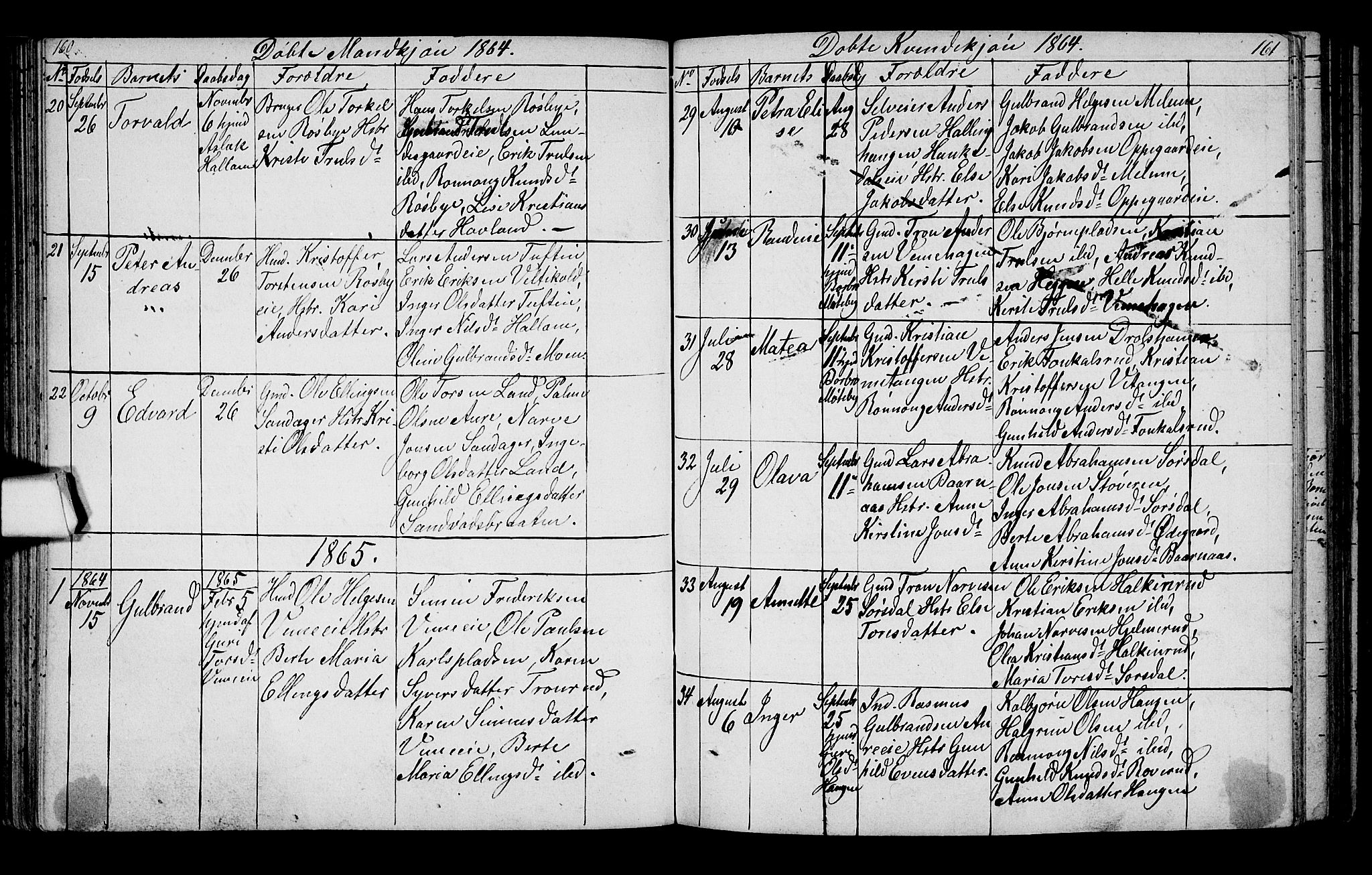 Lunder kirkebøker, SAKO/A-629/G/Ga/L0002: Parish register (copy) no. I 2, 1849-1868, p. 160-161