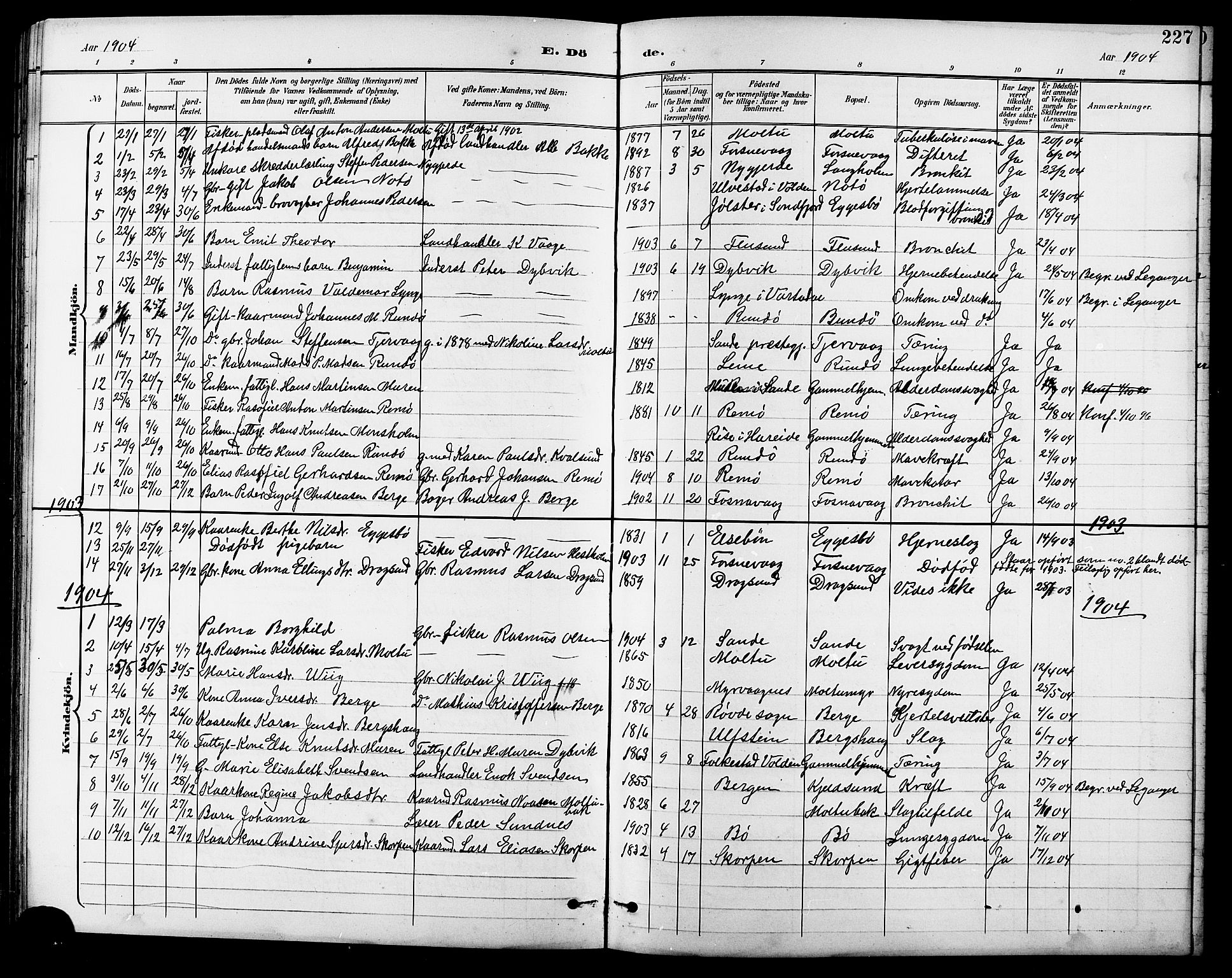 Ministerialprotokoller, klokkerbøker og fødselsregistre - Møre og Romsdal, AV/SAT-A-1454/507/L0082: Parish register (copy) no. 507C05, 1896-1914, p. 227