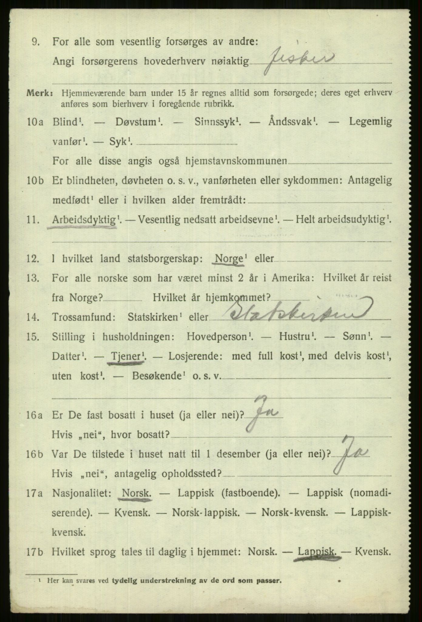 SATØ, 1920 census for Lyngen, 1920, p. 9060