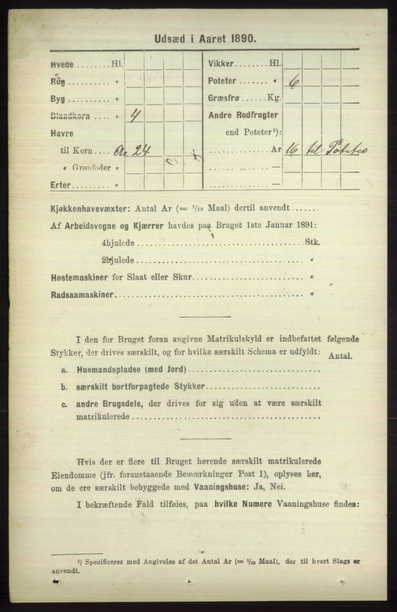 RA, 1891 census for 1251 Bruvik, 1891, p. 4733