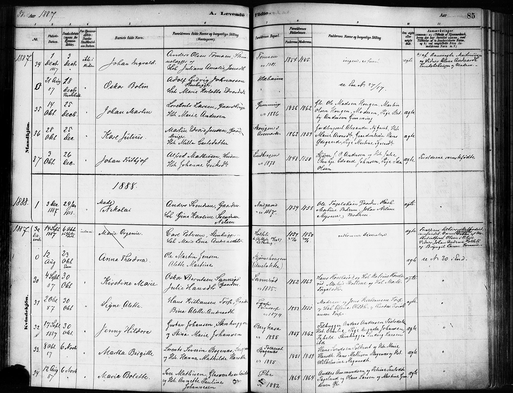 Idd prestekontor Kirkebøker, AV/SAO-A-10911/F/Fc/L0006a: Parish register (official) no. III 6A, 1878-1903, p. 85