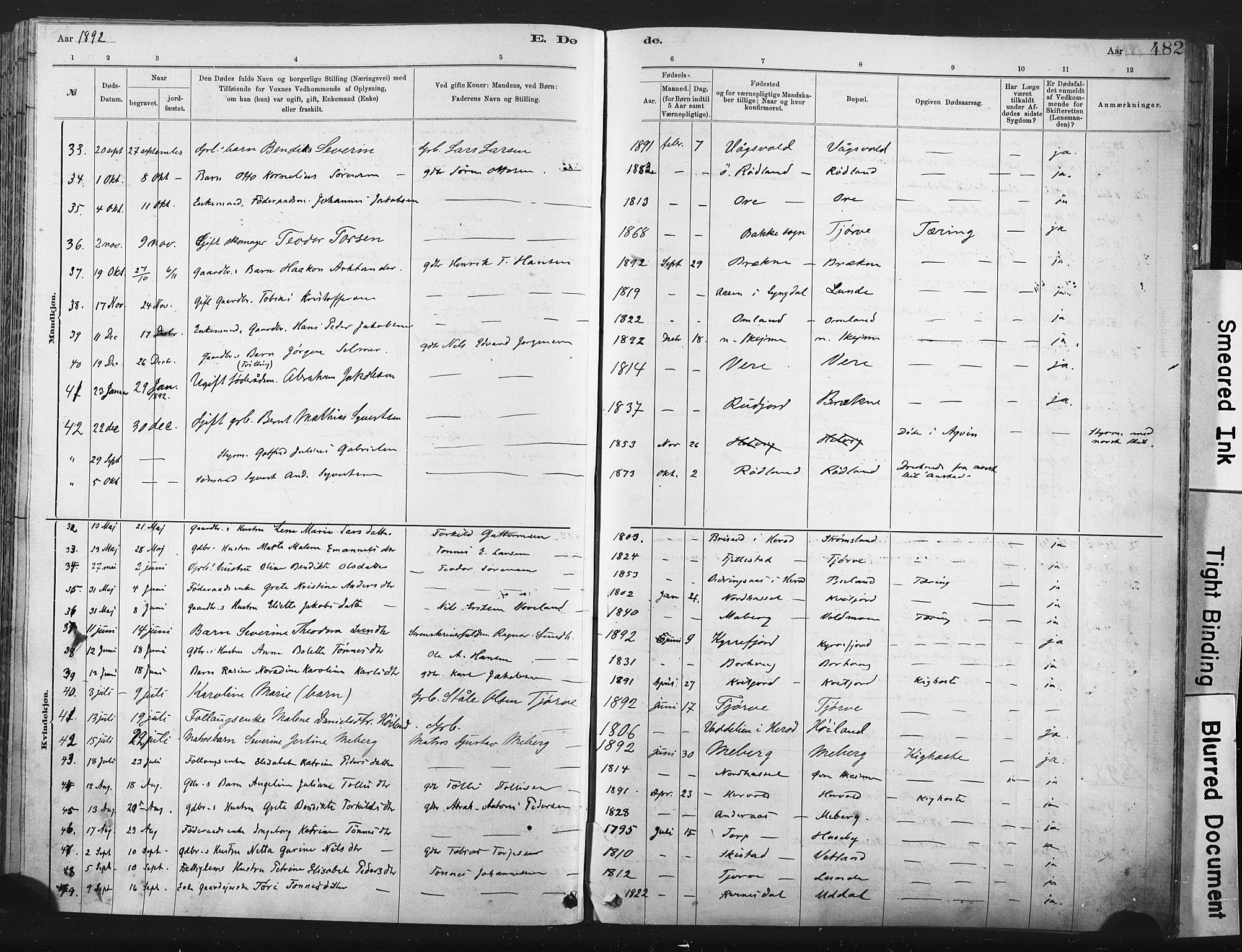 Lista sokneprestkontor, AV/SAK-1111-0027/F/Fa/L0012: Parish register (official) no. A 12, 1879-1903, p. 482