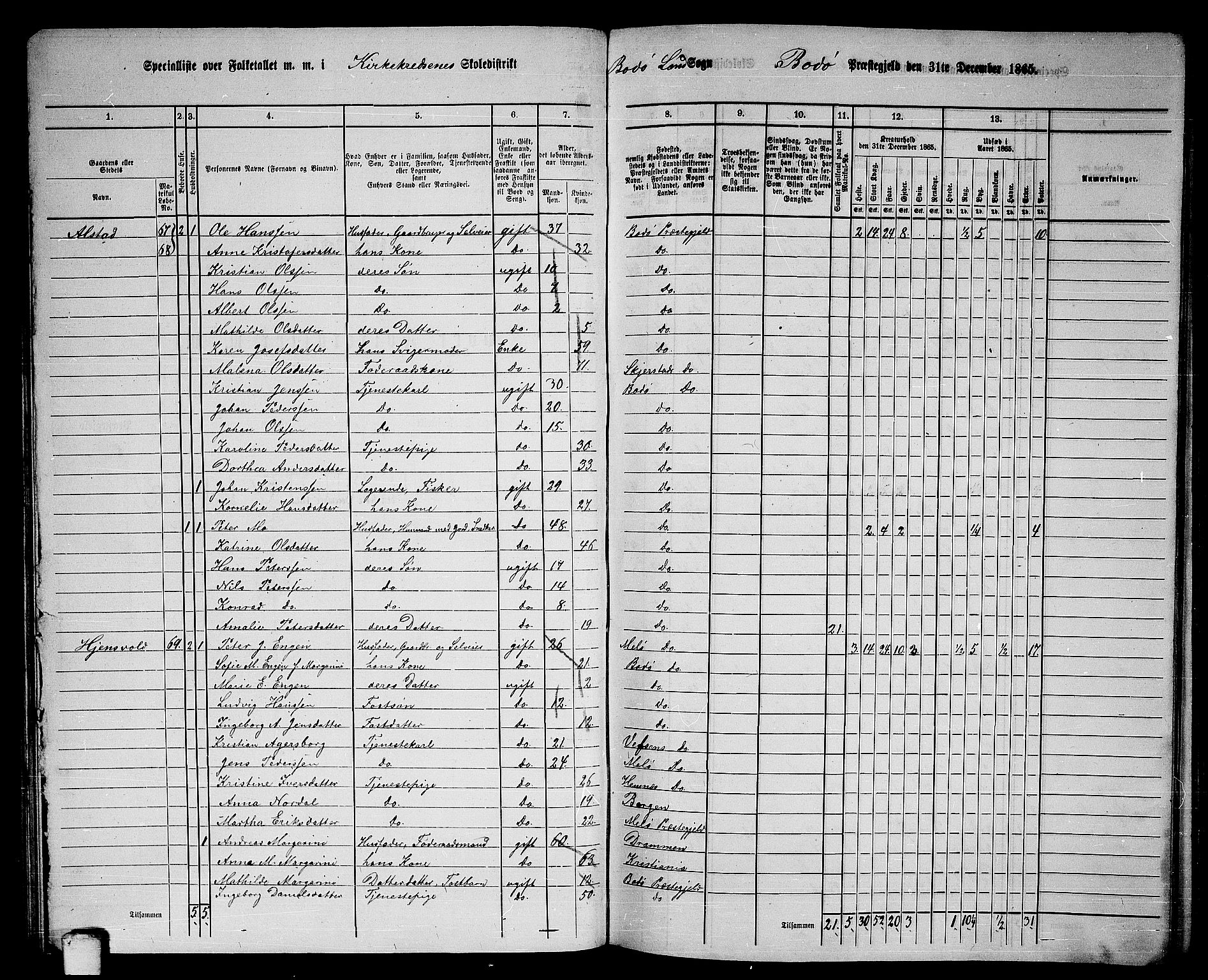 RA, 1865 census for Bodø/Bodø, 1865, p. 46