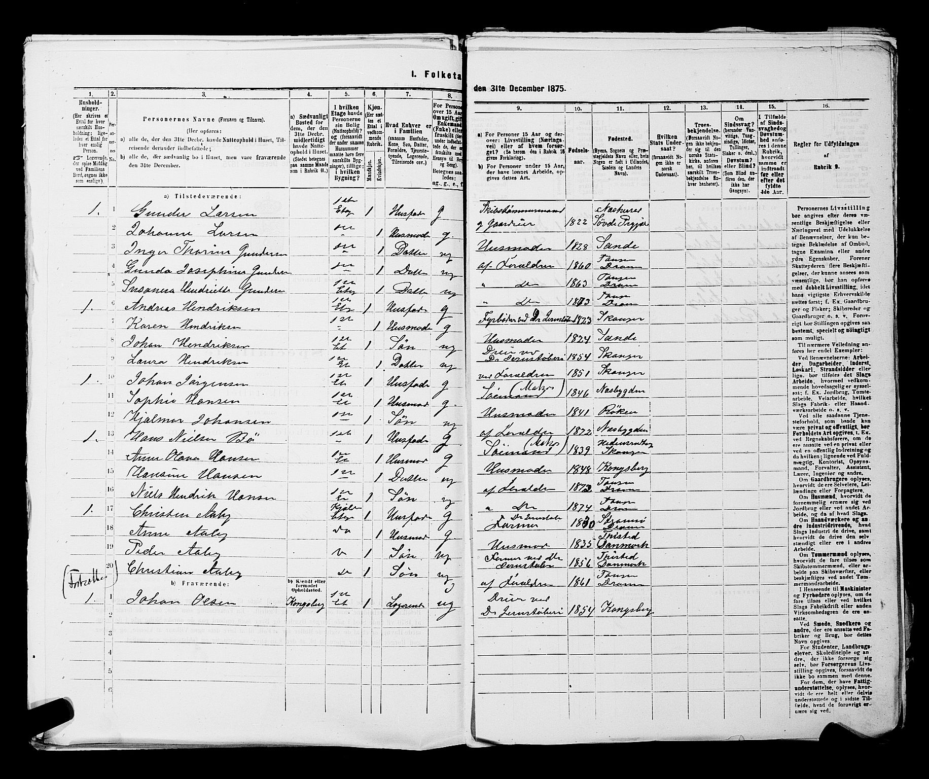SAKO, 1875 census for 0602 Drammen, 1875, p. 3655