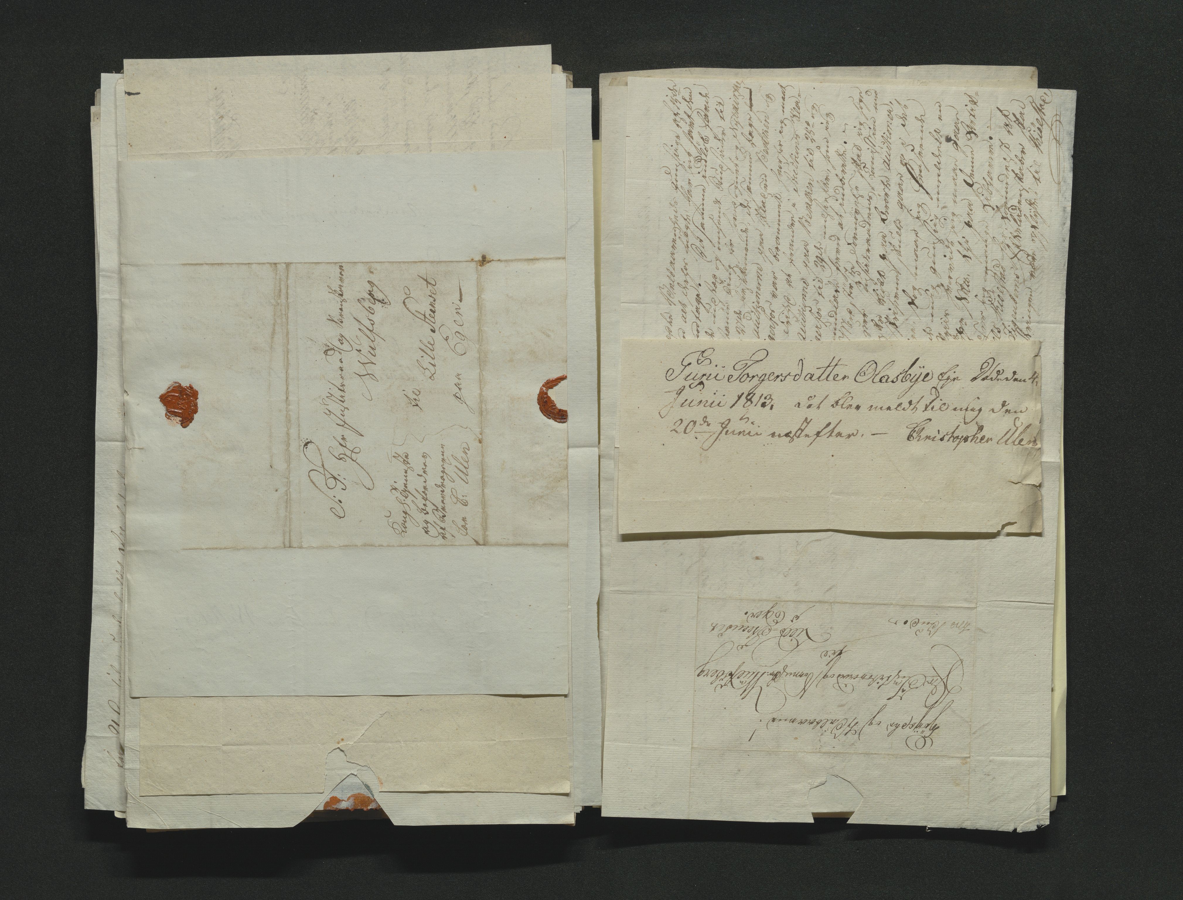 Eiker, Modum og Sigdal sorenskriveri, AV/SAKO-A-123/H/Ha/Hab/L0001: Dødsfallsmeldinger, 1812-1822, p. 104