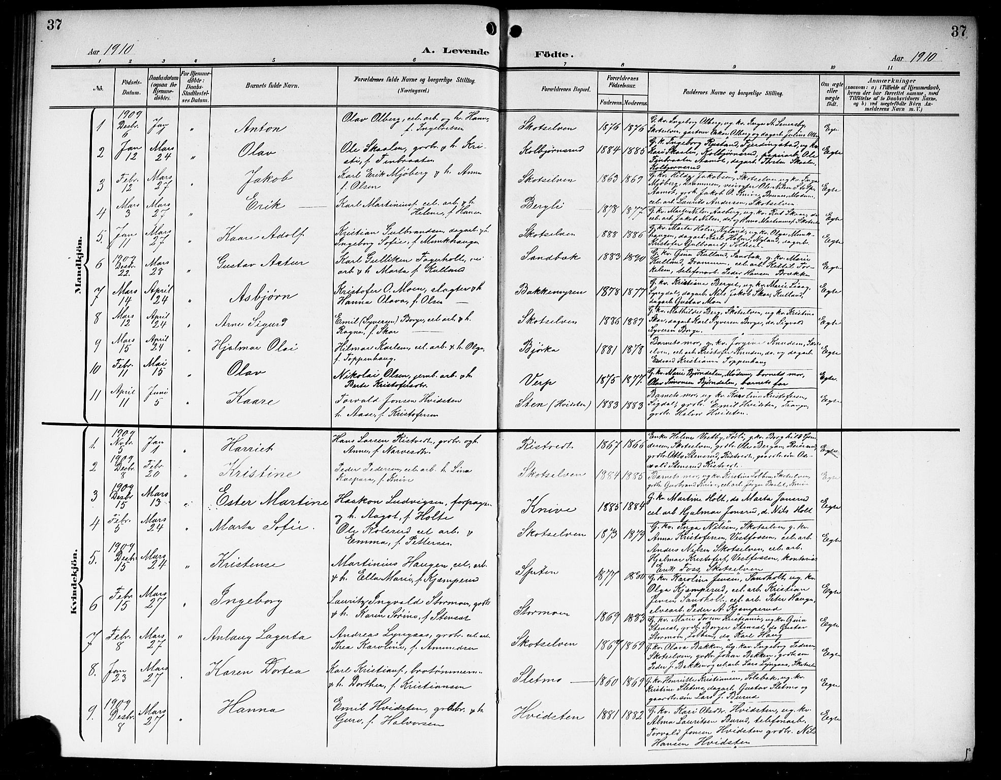 Eiker kirkebøker, AV/SAKO-A-4/G/Gb/L0005: Parish register (copy) no. II 5, 1901-1923, p. 37