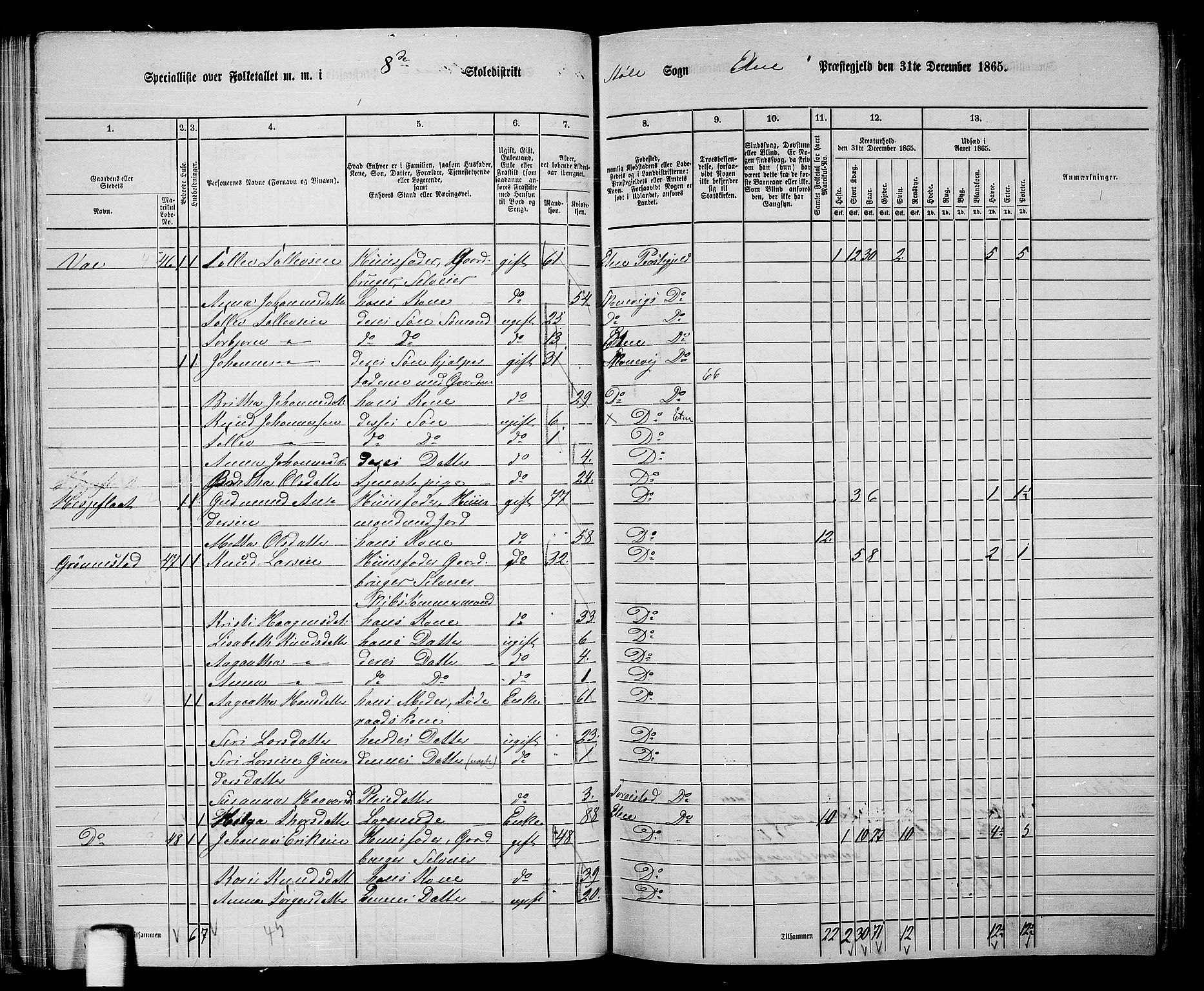 RA, 1865 census for Etne, 1865, p. 48