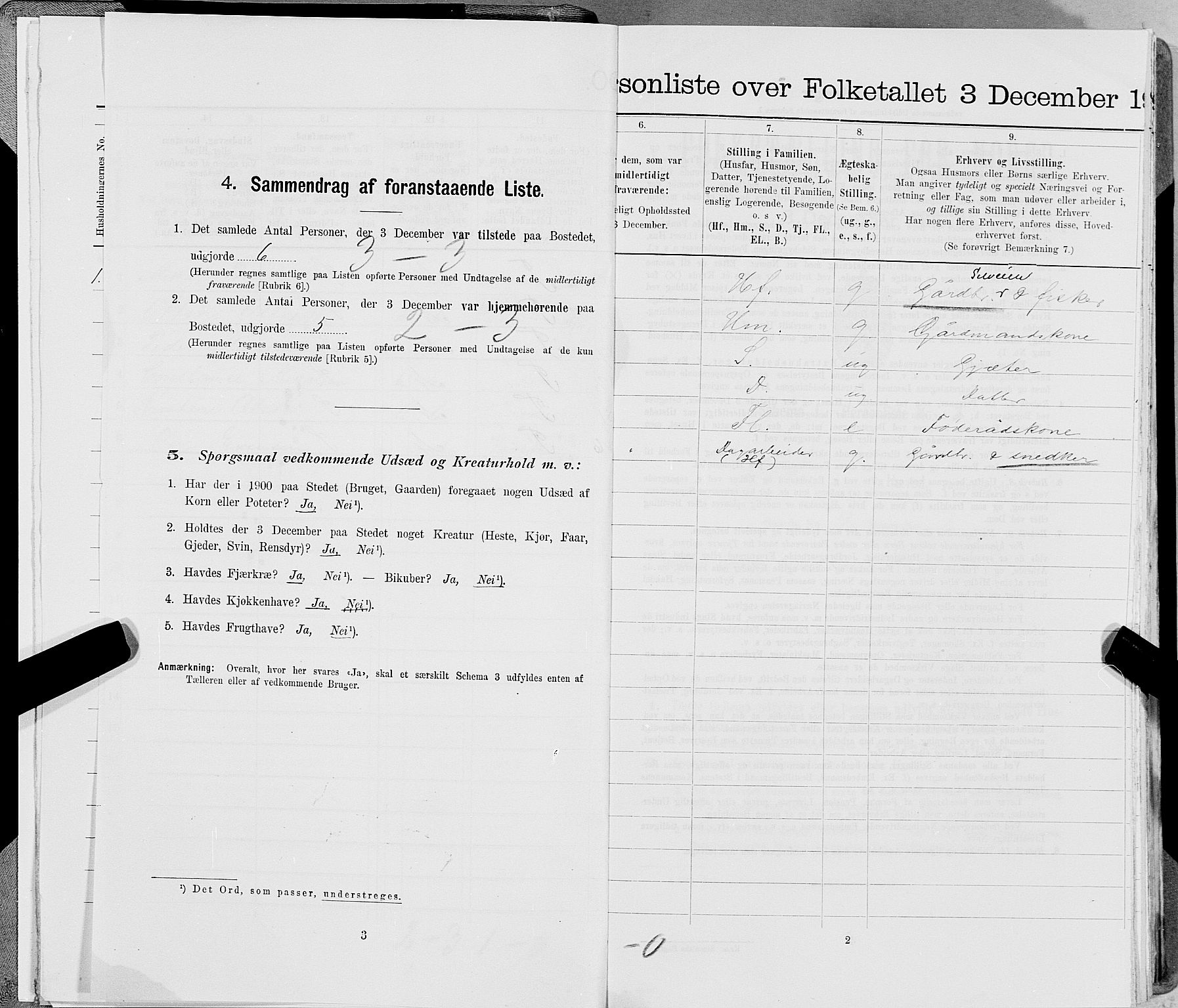 SAT, 1900 census for Leka, 1900, p. 19