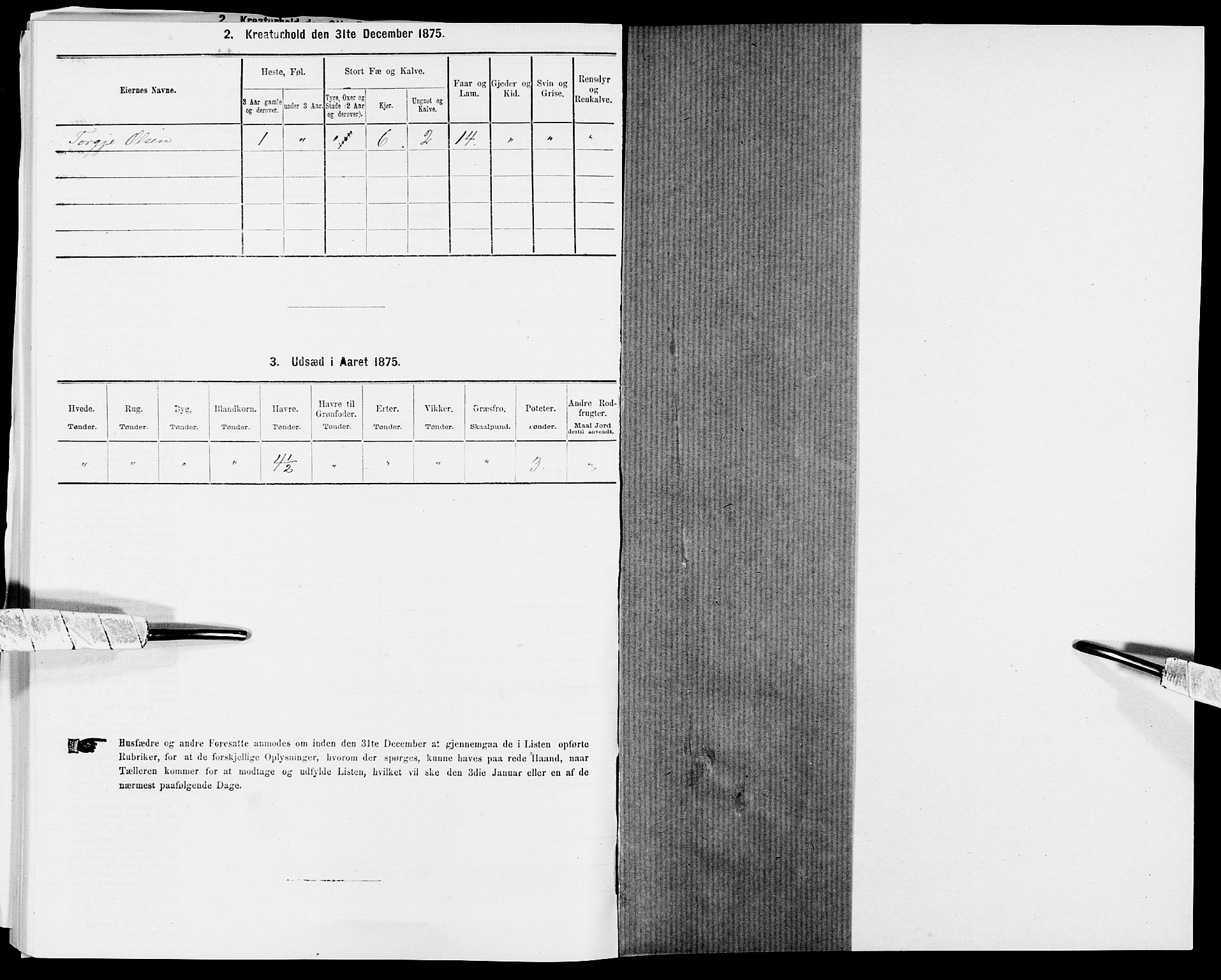 SAK, 1875 census for 1020P Holum, 1875, p. 866