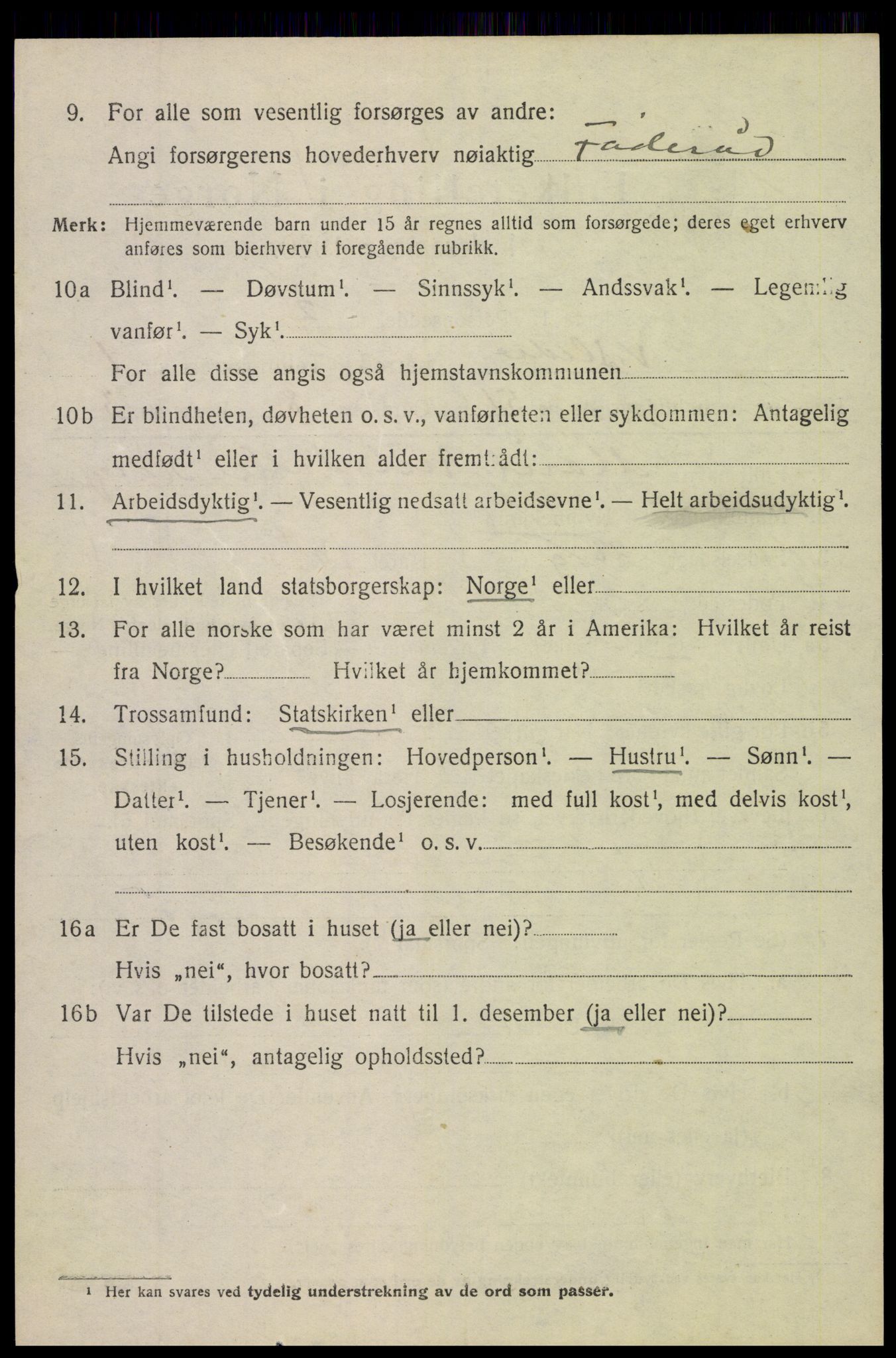 SAH, 1920 census for Vestre Slidre, 1920, p. 1541