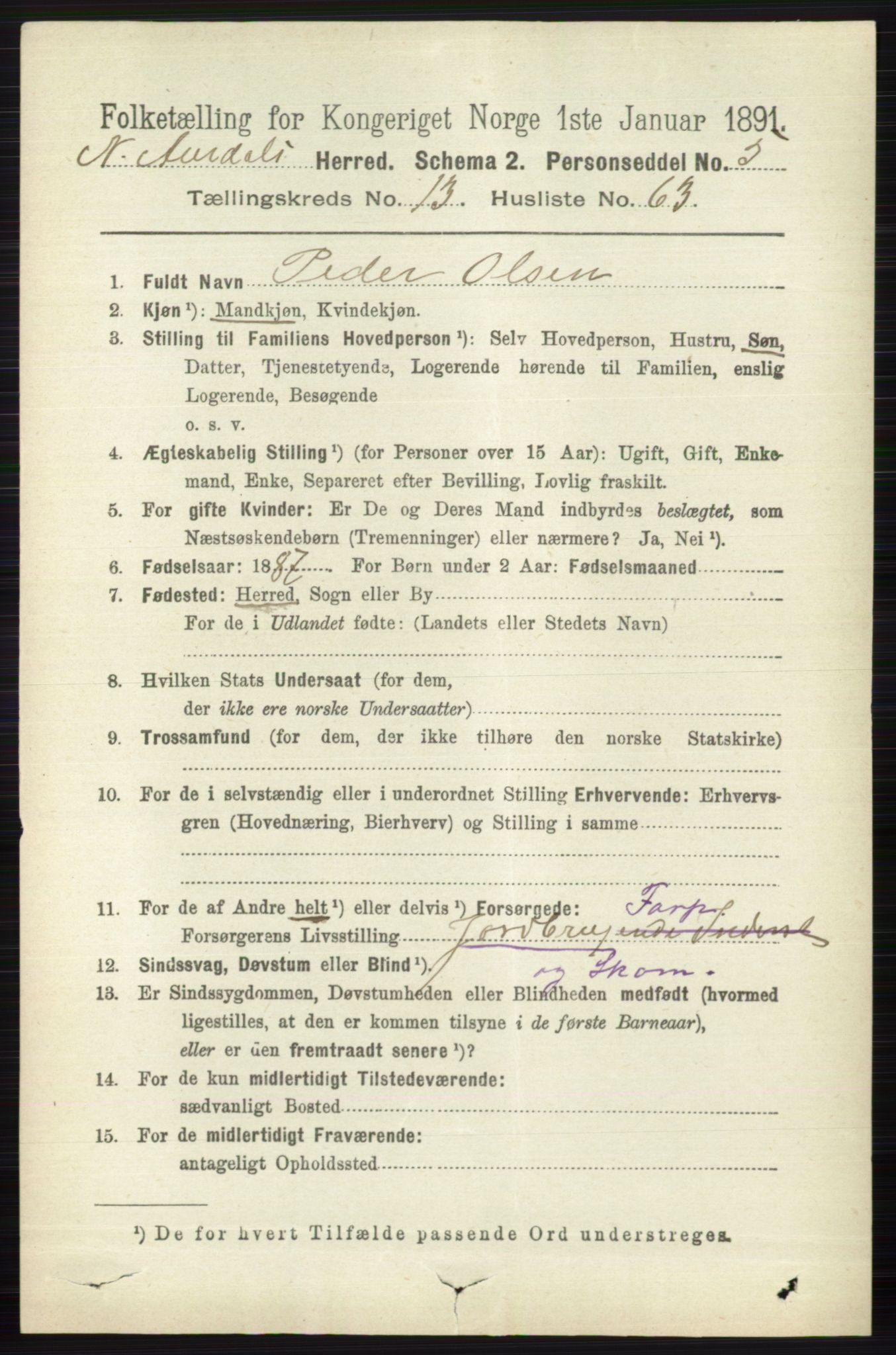 RA, 1891 census for 0542 Nord-Aurdal, 1891, p. 5133