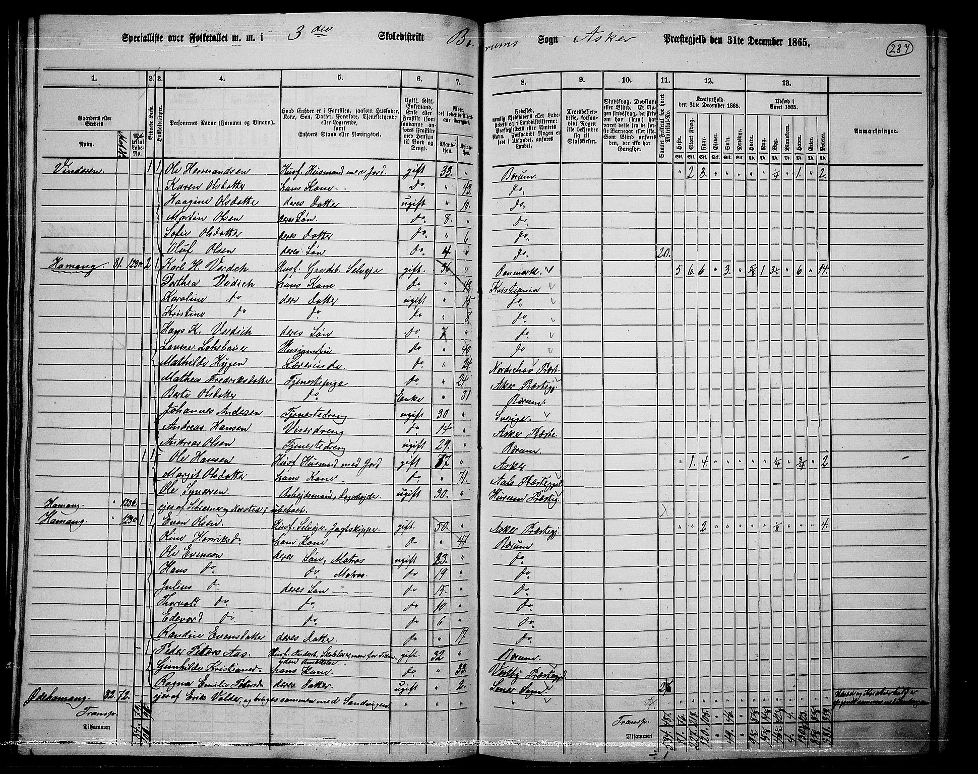 RA, 1865 census for Asker, 1865, p. 229