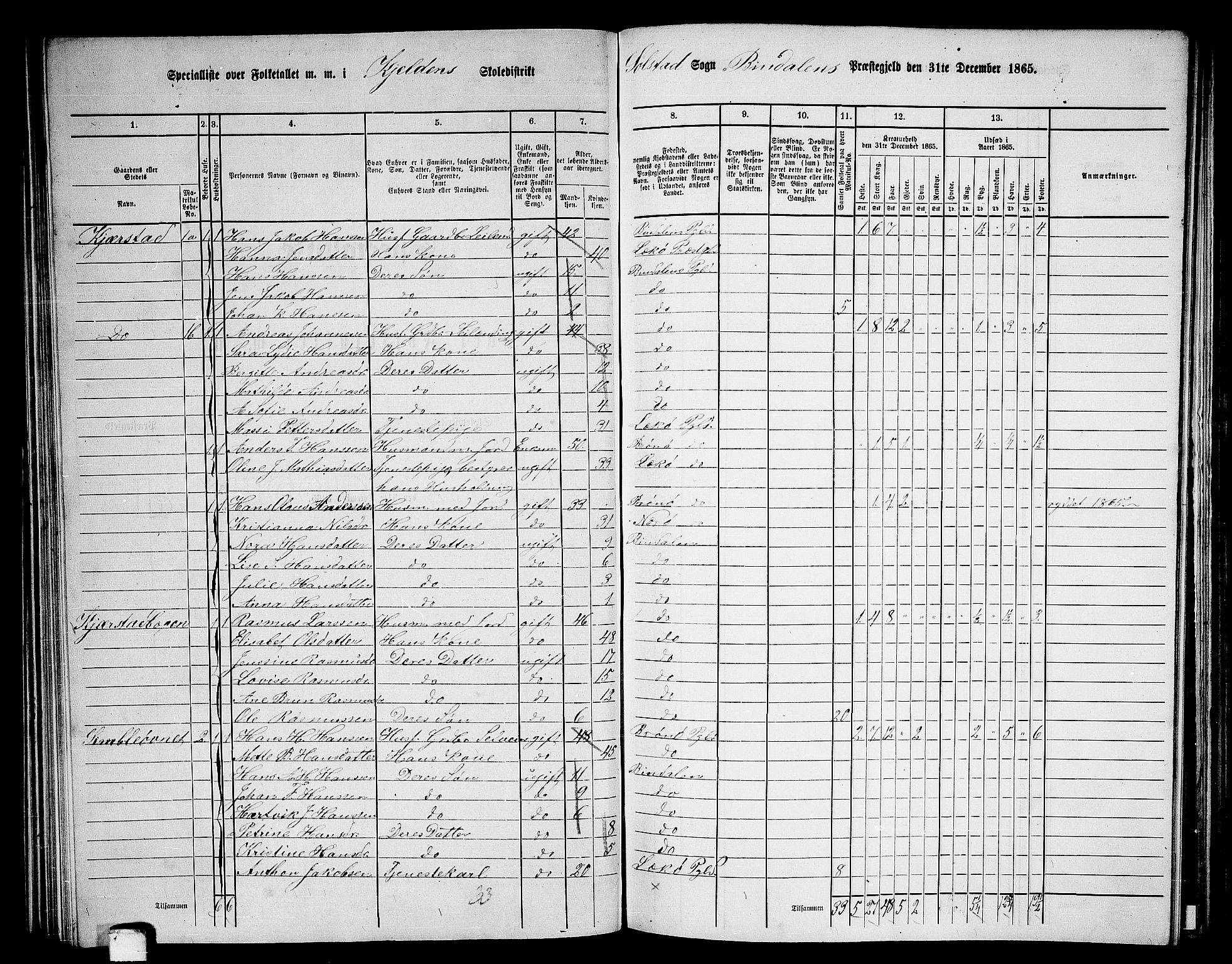 RA, 1865 census for Bindal, 1865, p. 56