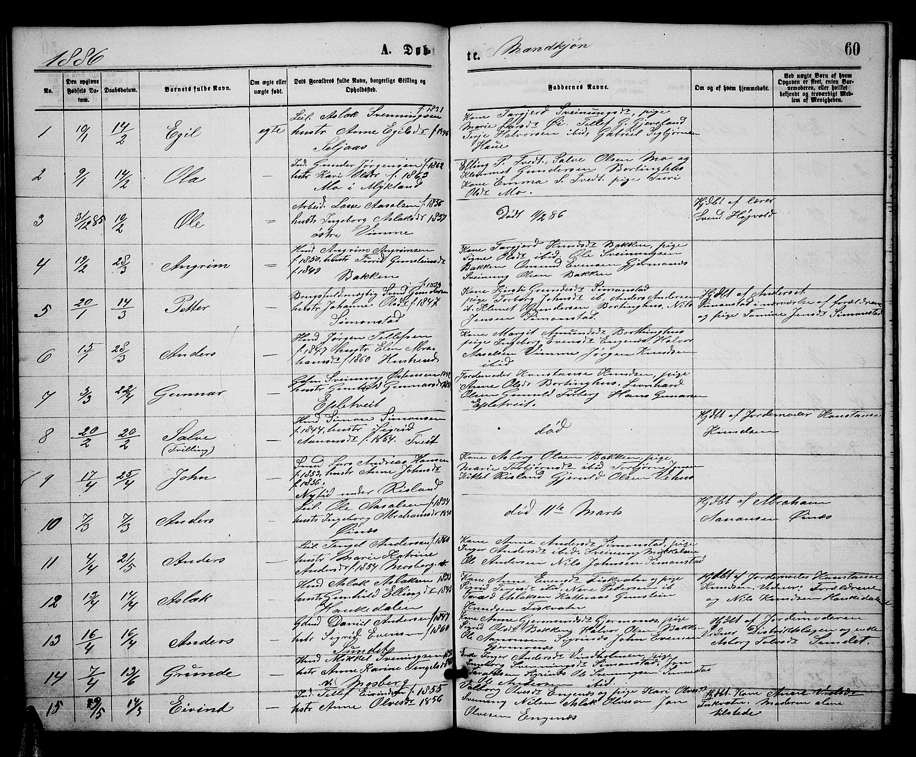 Åmli sokneprestkontor, AV/SAK-1111-0050/F/Fb/Fbc/L0003: Parish register (copy) no. B 3, 1868-1888, p. 60