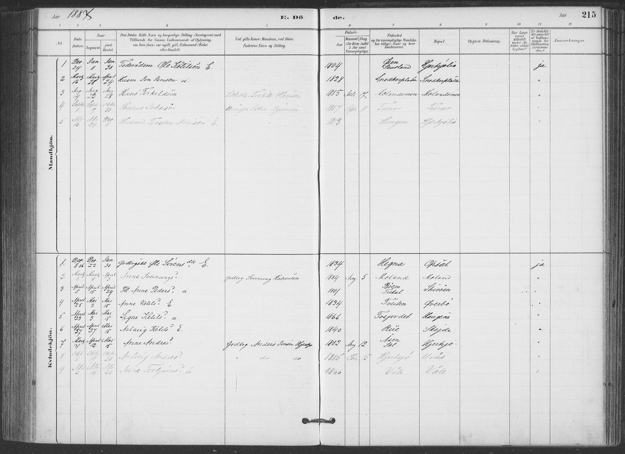 Hjartdal kirkebøker, SAKO/A-270/F/Fa/L0010: Parish register (official) no. I 10, 1880-1929, p. 215