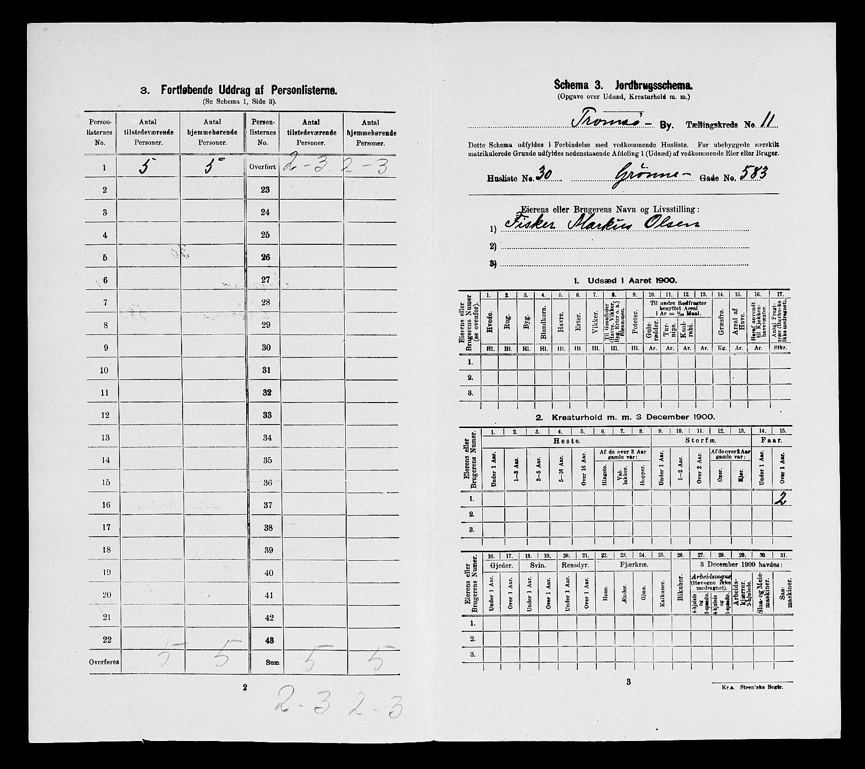 SATØ, 1900 census for Tromsø, 1900, p. 3264