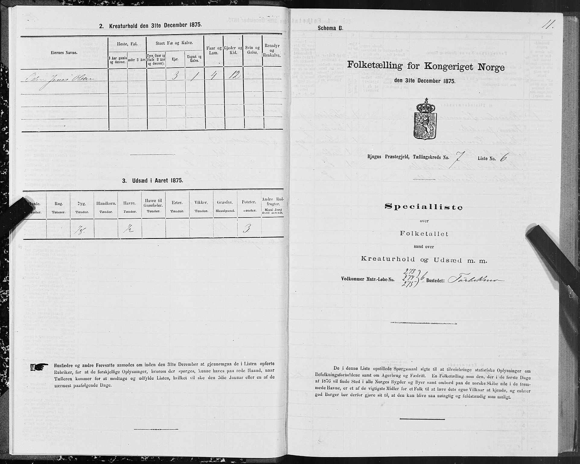 SAT, 1875 census for 1627P Bjugn, 1875, p. 4011