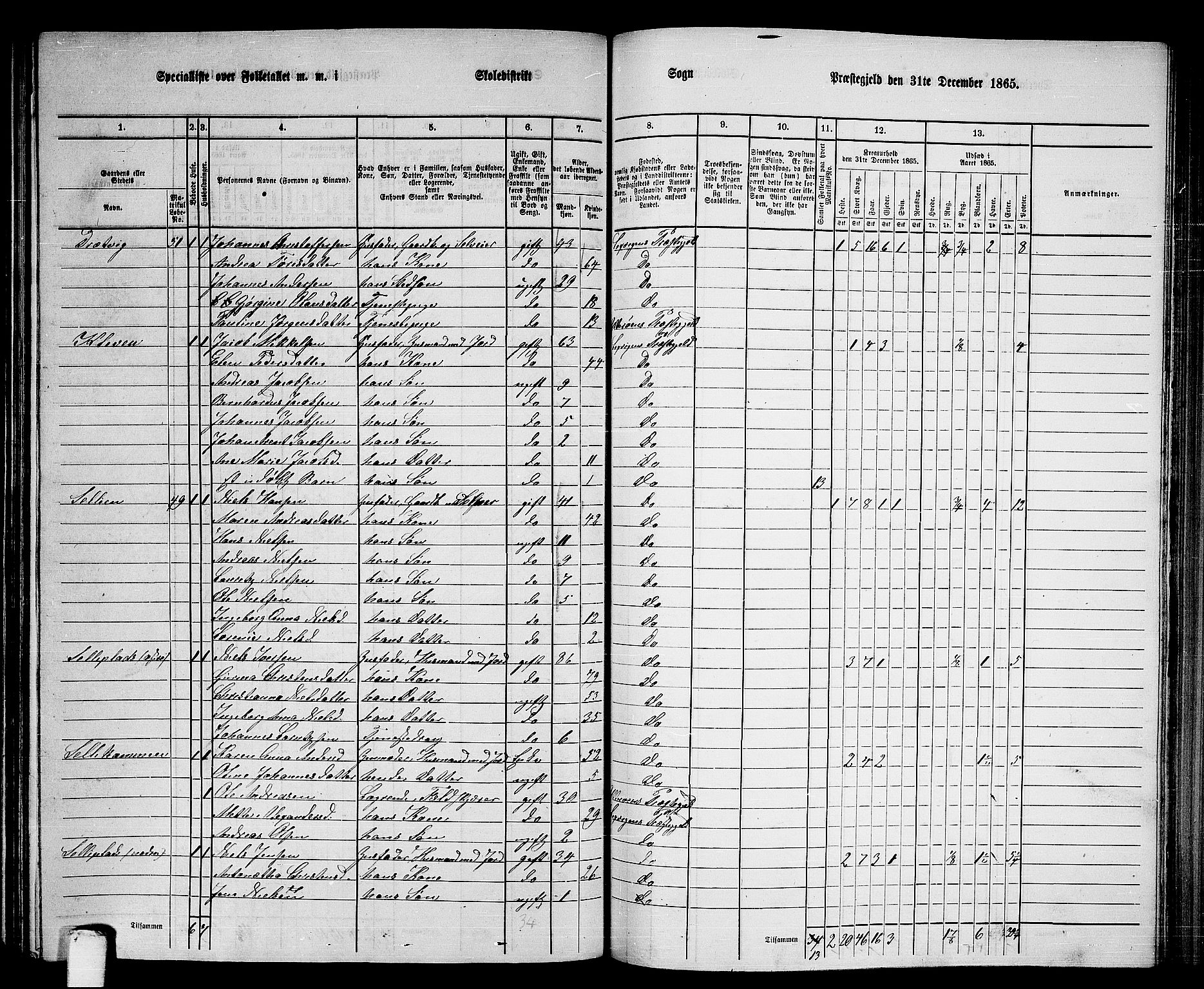 RA, 1865 census for Leksvik, 1865, p. 123