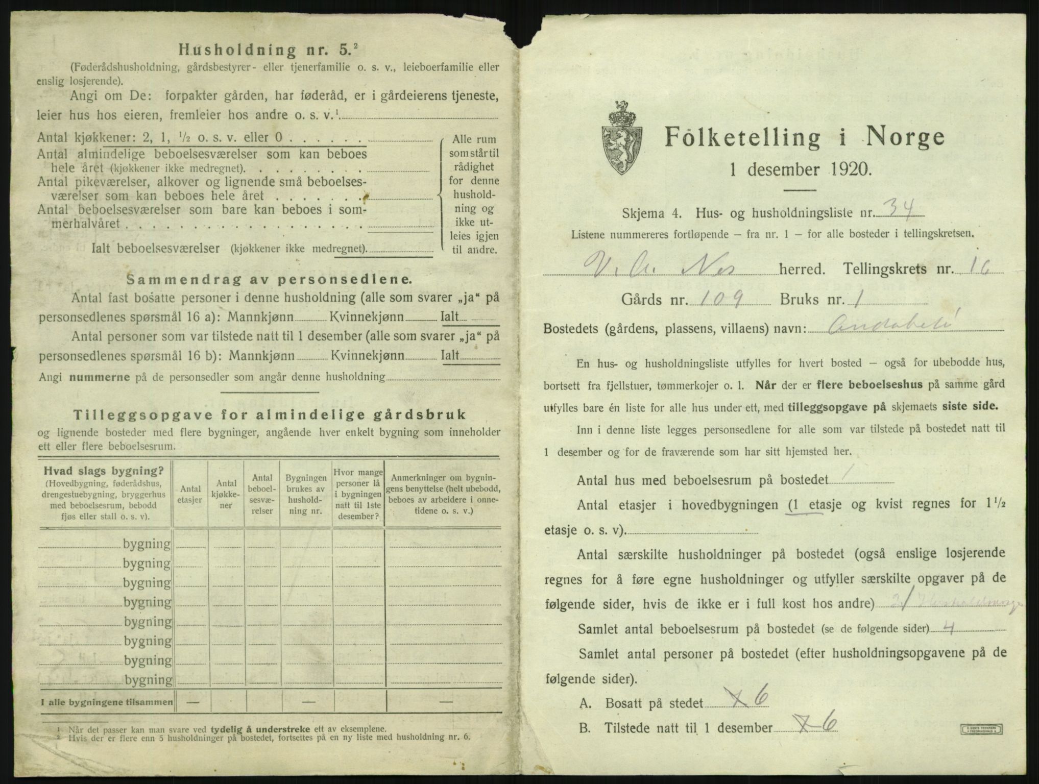 SAK, 1920 census for Nes (V-A), 1920, p. 1036