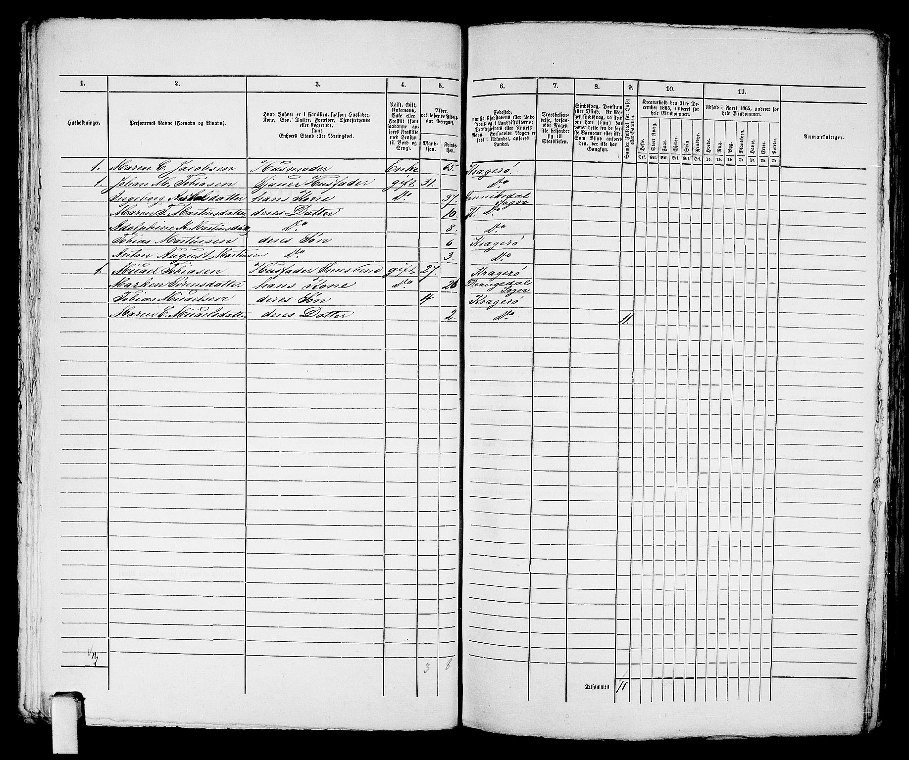 RA, 1865 census for Kragerø/Kragerø, 1865, p. 698