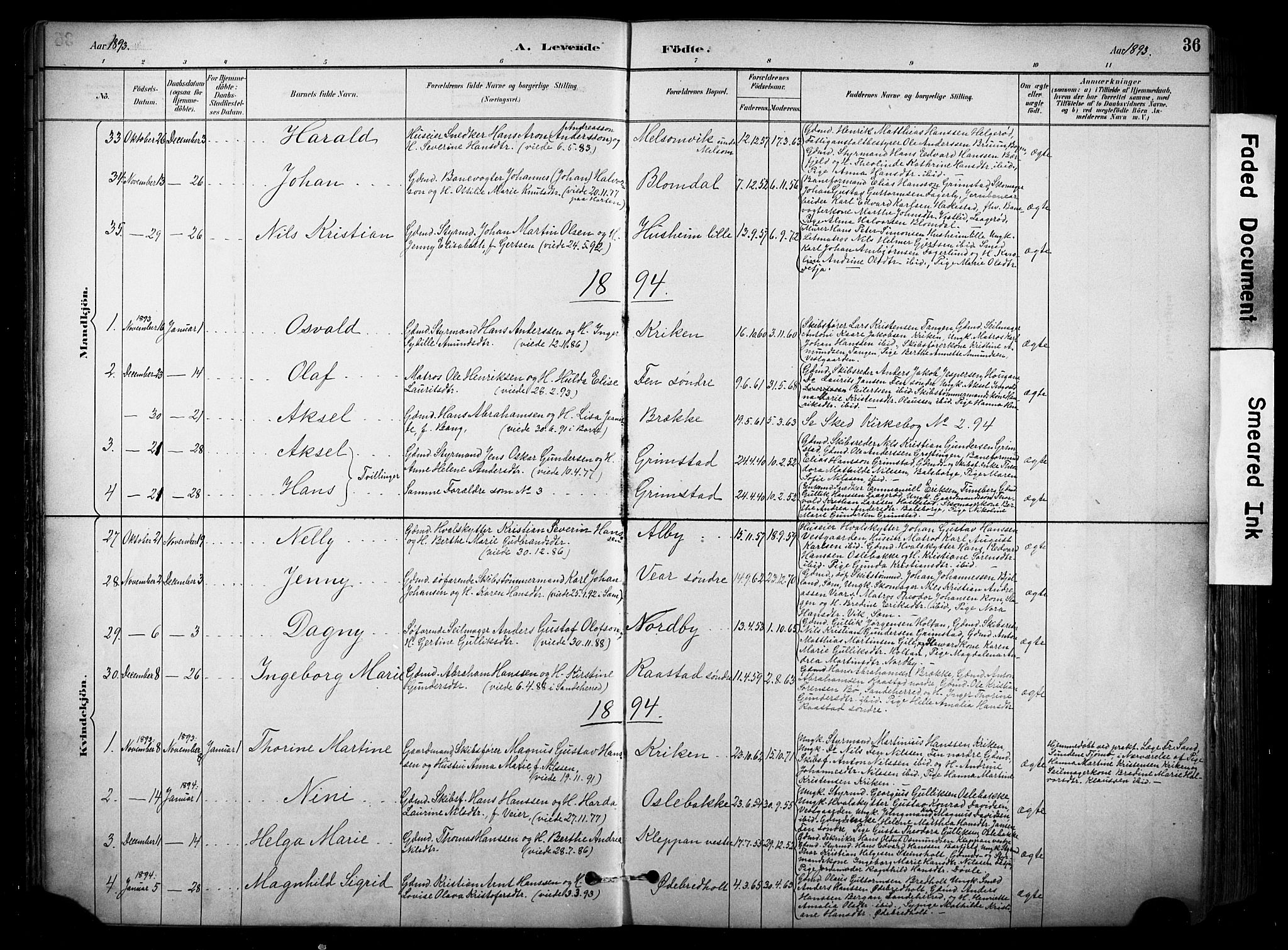Stokke kirkebøker, SAKO/A-320/F/Fa/L0010: Parish register (official) no. I 10, 1884-1903, p. 36